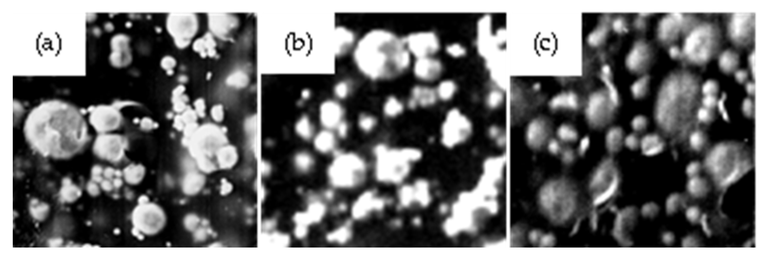 Crystals 13 00368 g004