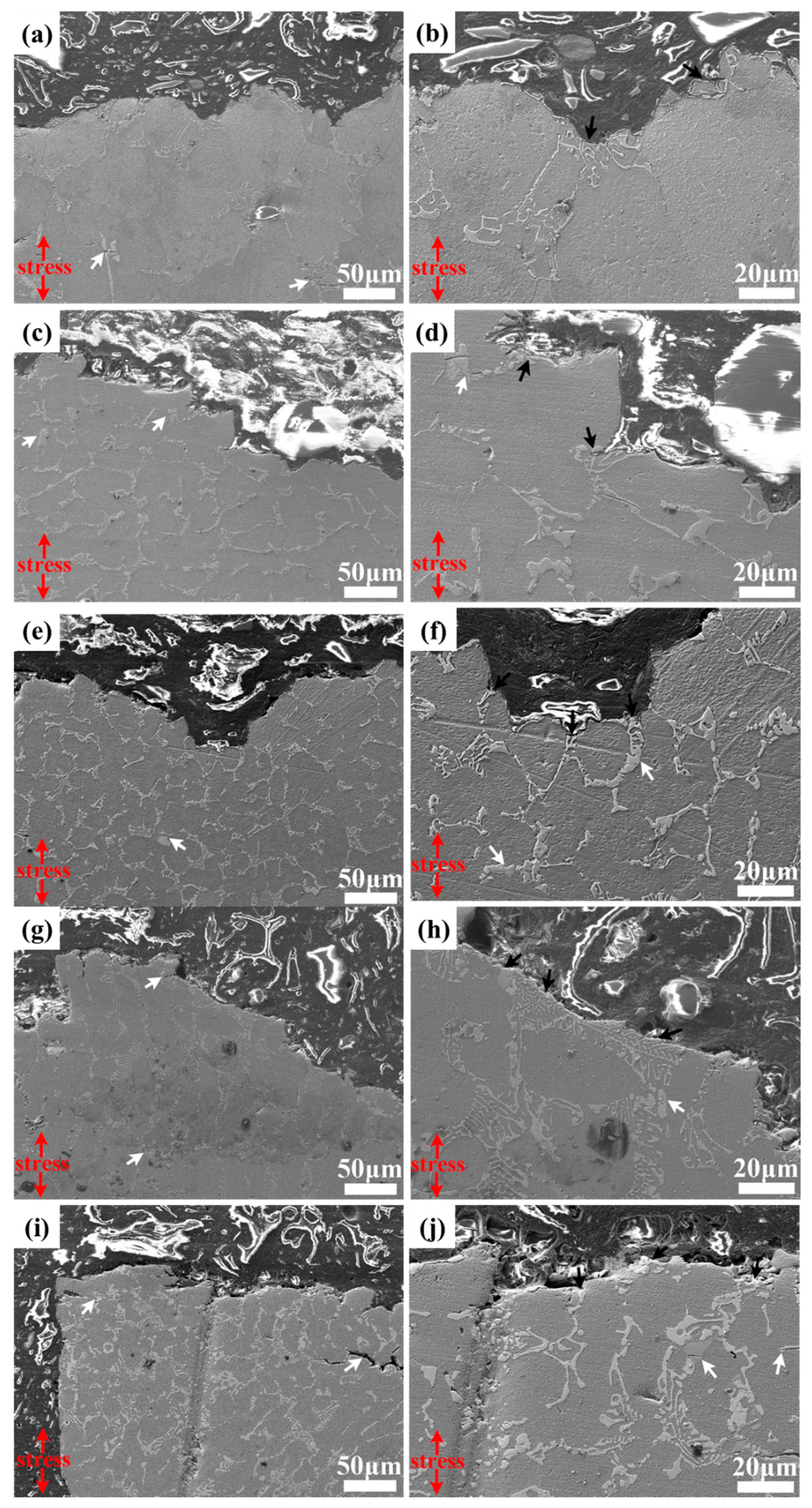 Crystals 13 00380 g008 Crystals 13 00380 g008