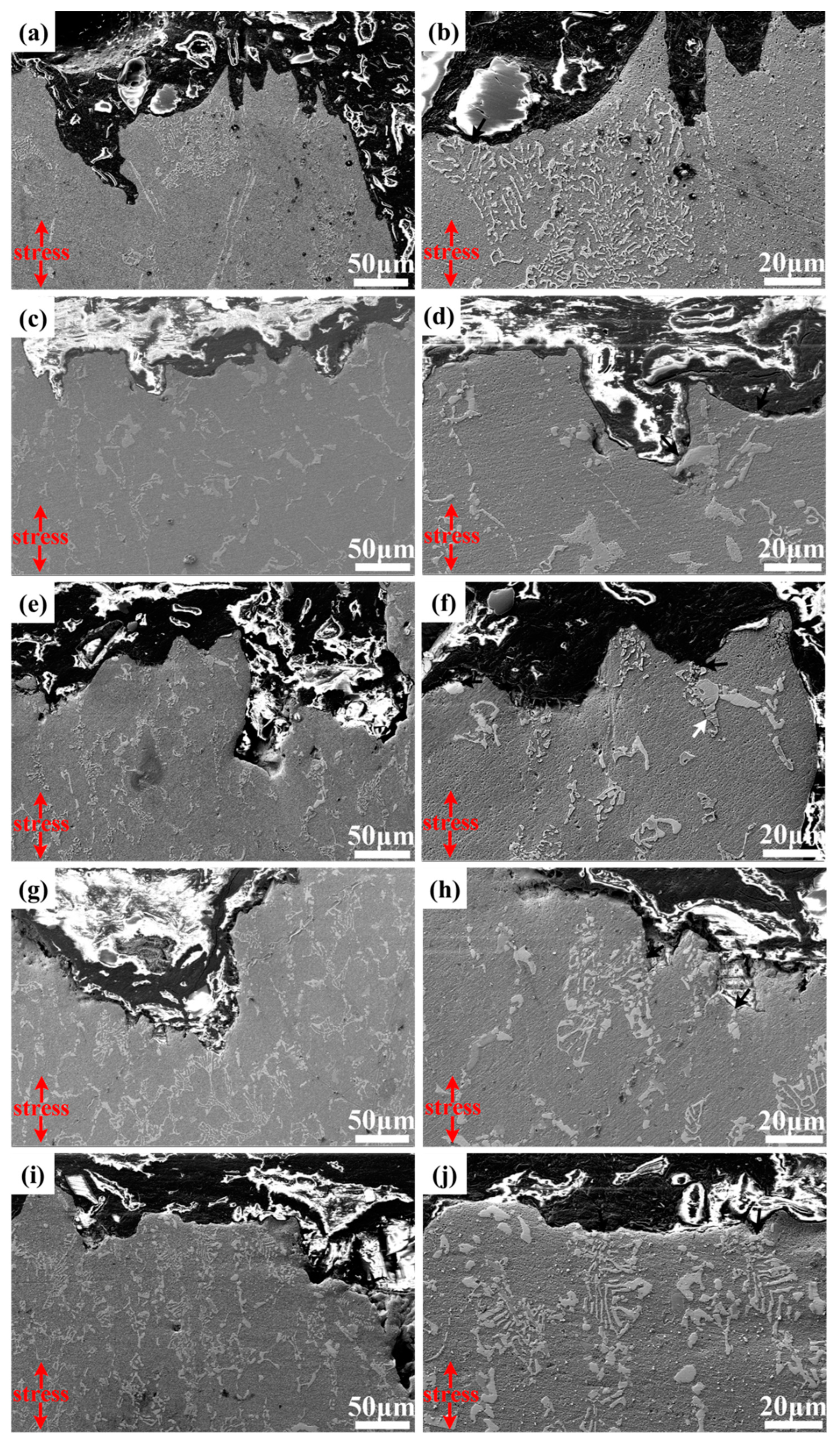 Crystals 13 00380 g009 Crystals 13 00380 g009