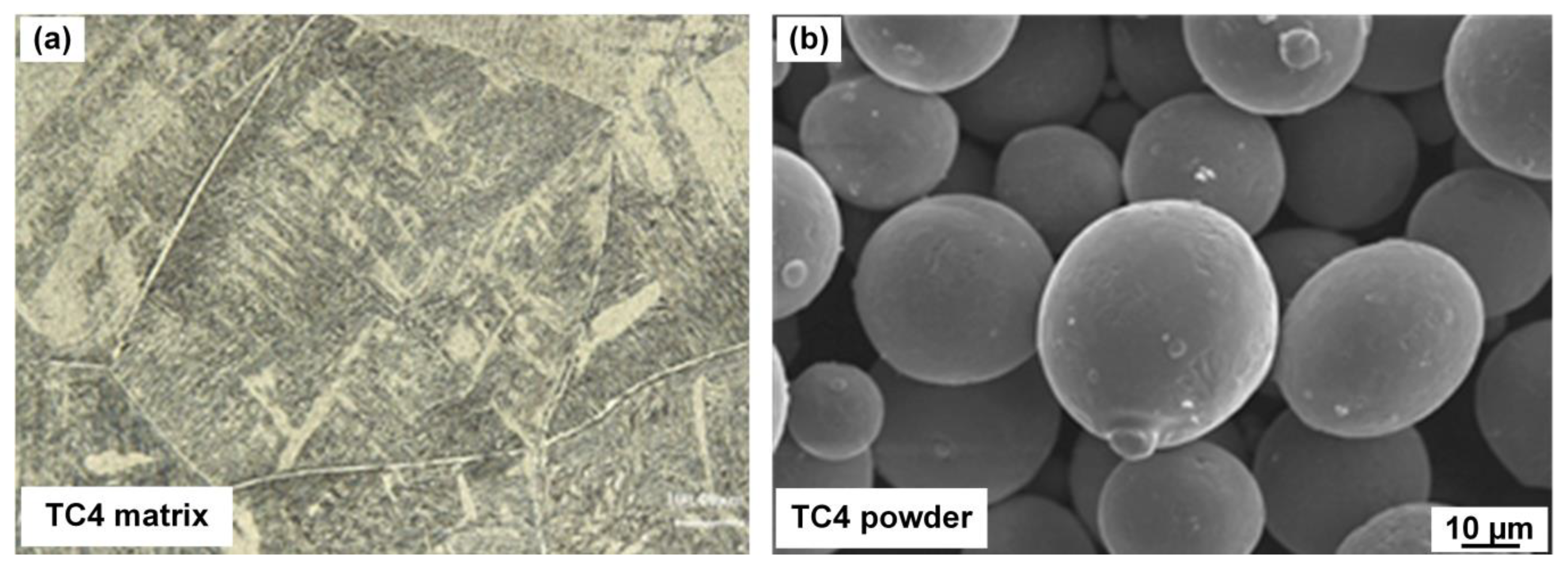 Crystals 13 00438 g001