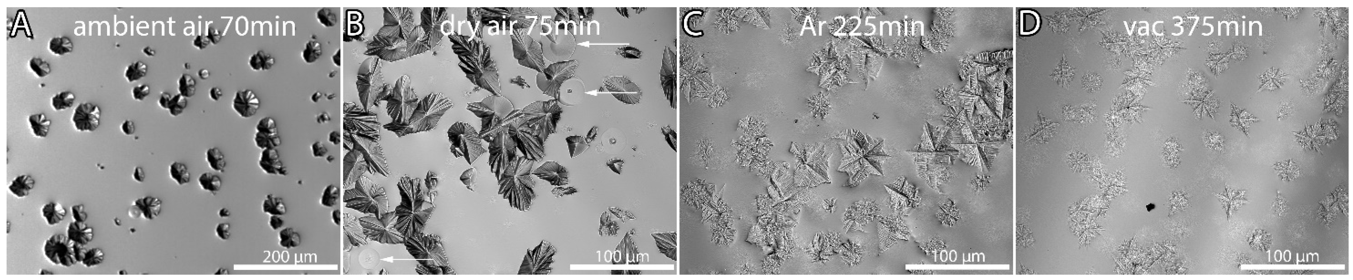 Crystals 13 00475 g002