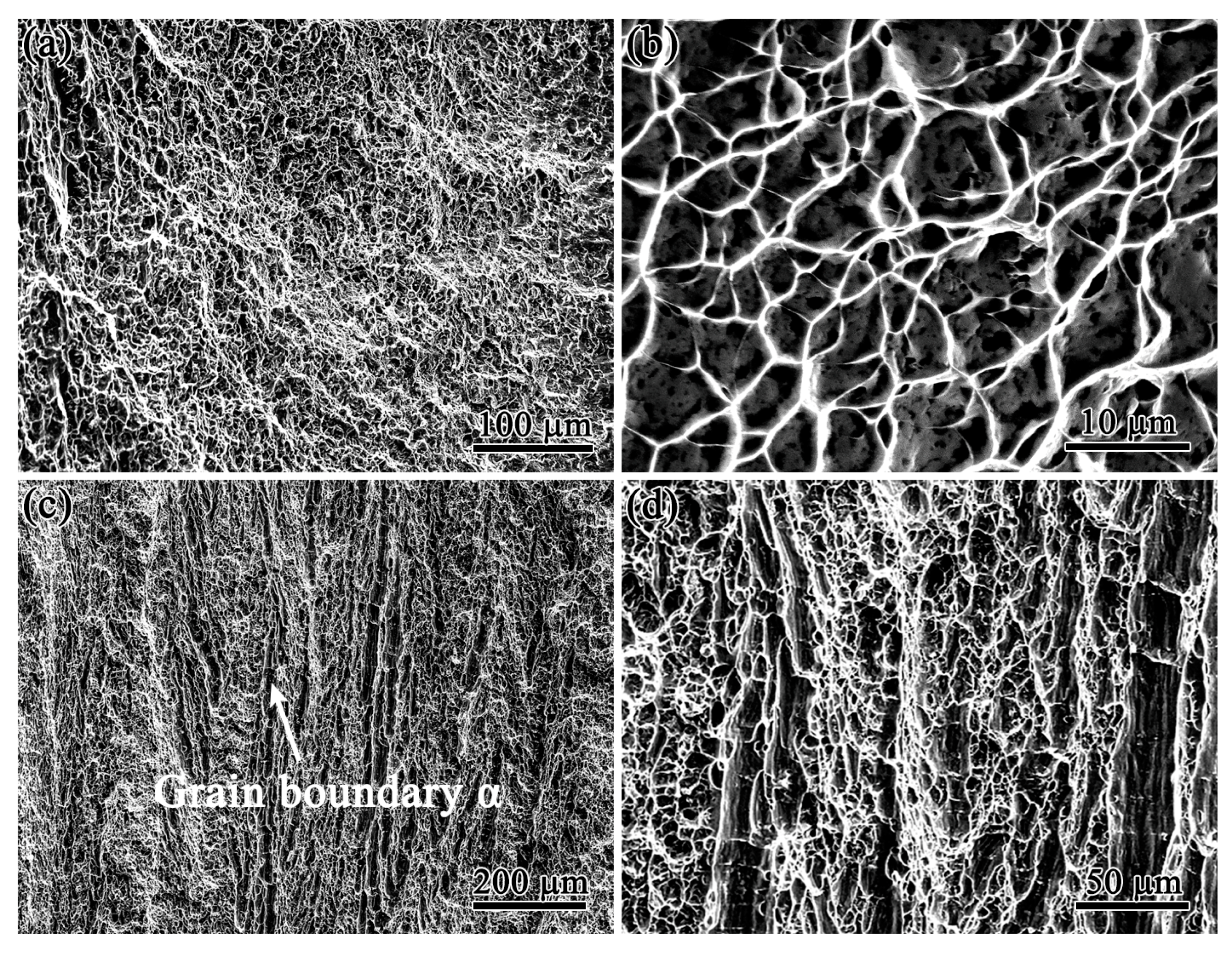 Crystals 13 00512 g008