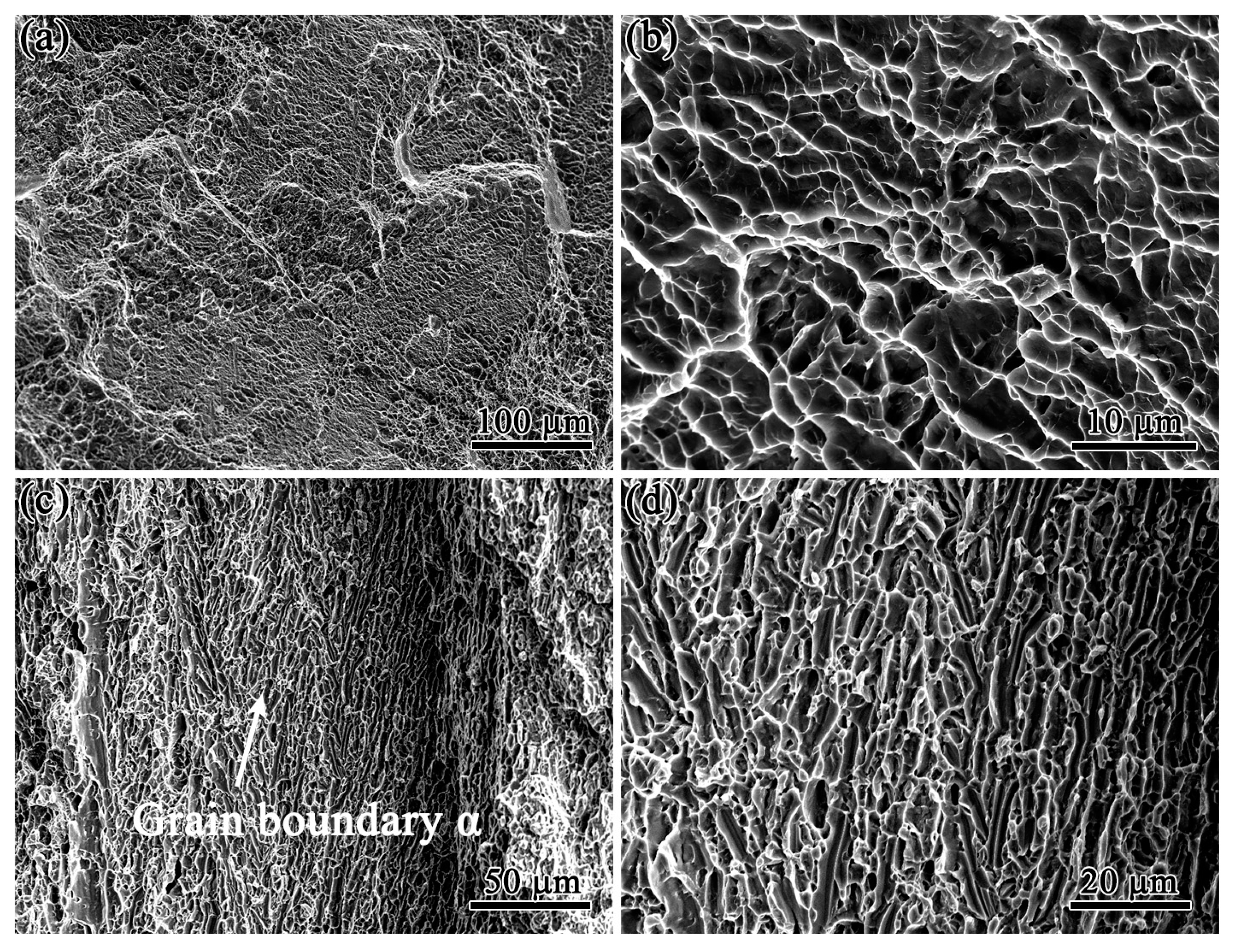 Crystals 13 00512 g009