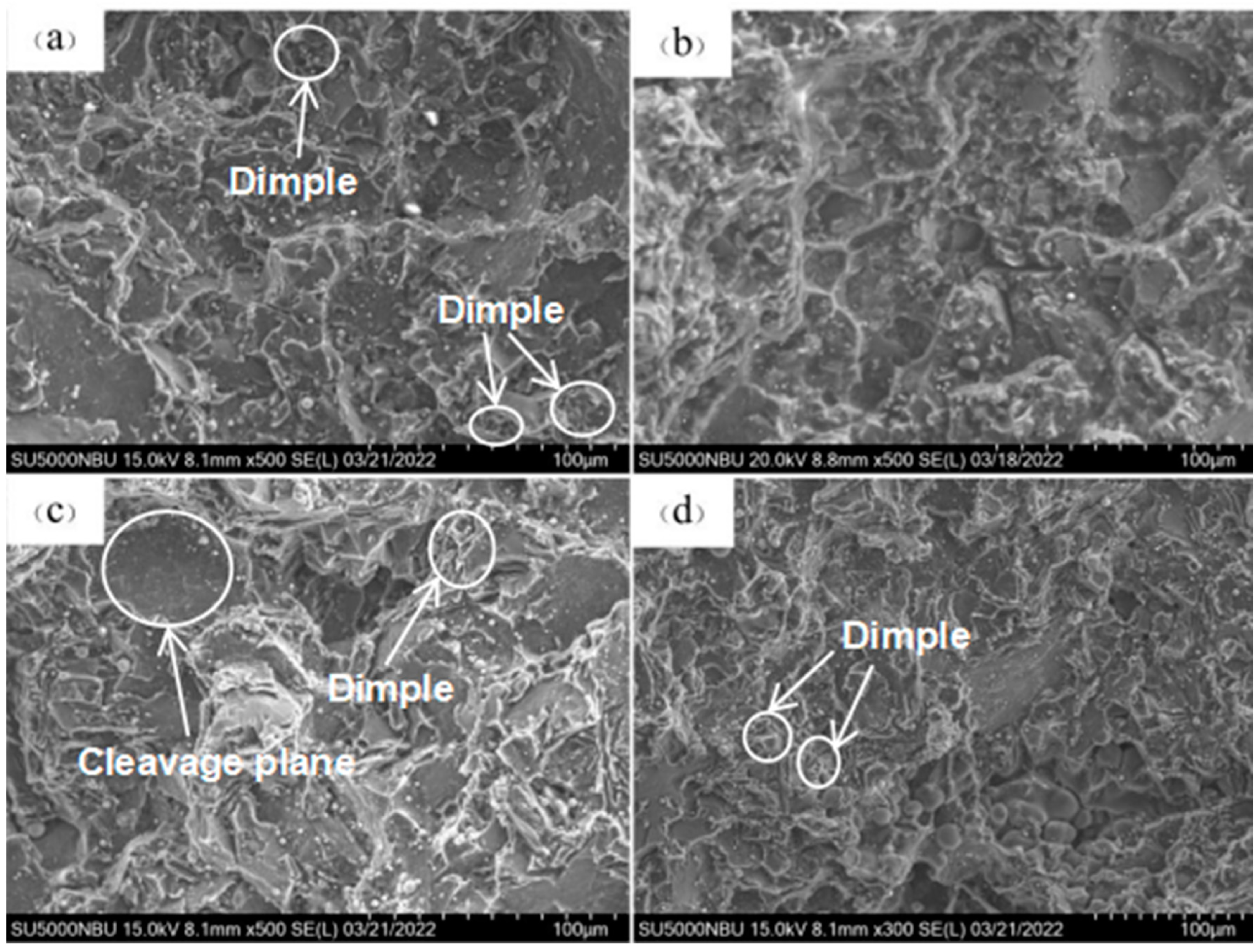 Crystals 13 00587 g012 Crystals 13 00587 g012
