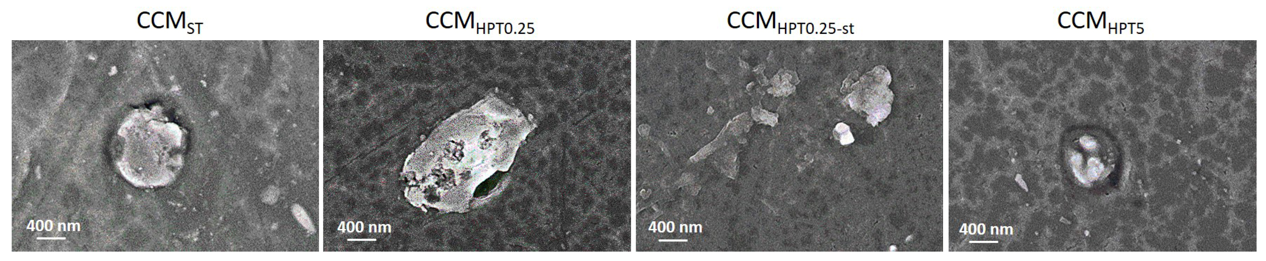 Crystals 13 00590 g006 Crystals 13 00590 g006