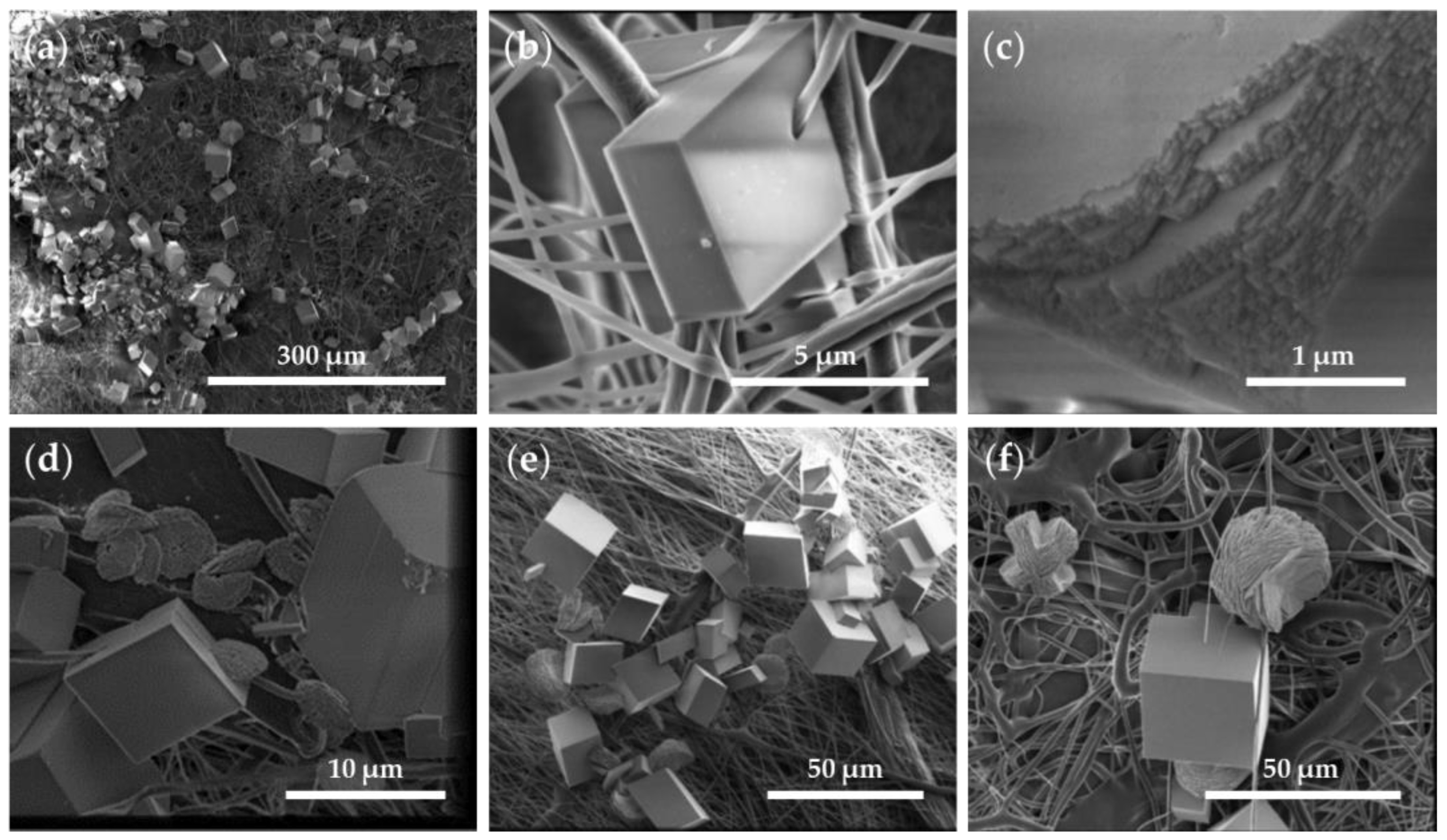 Crystals 13 00611 g008