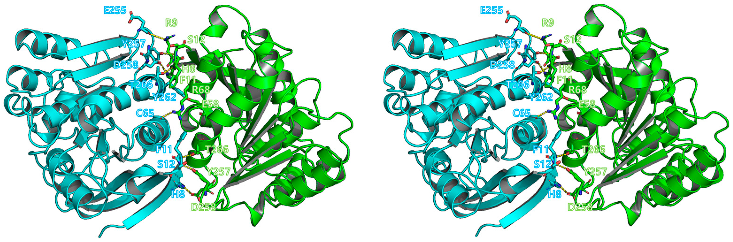 Crystals 13 00621 g004