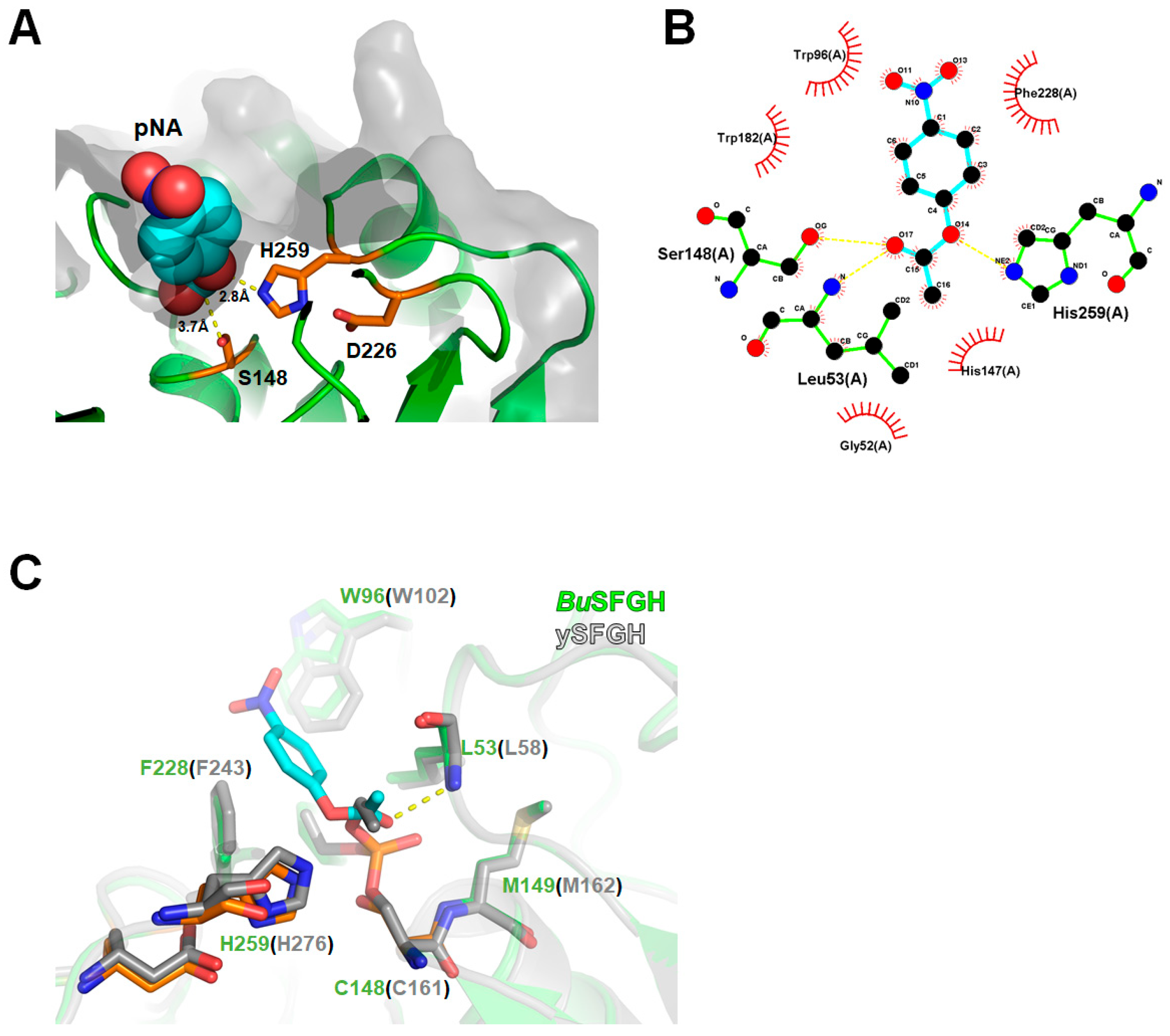 Crystals 13 00621 g005
