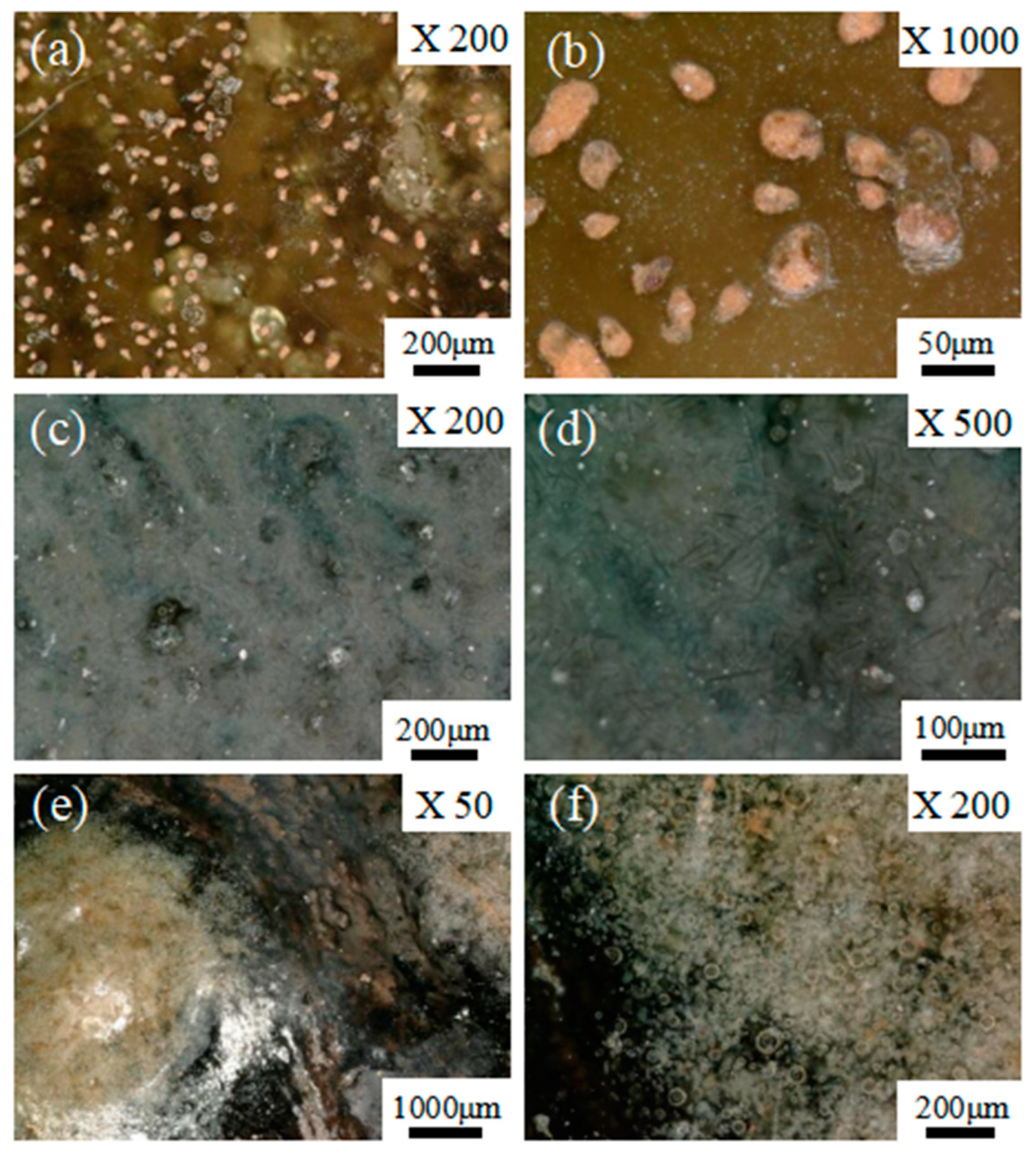 Crystals 13 00632 g003