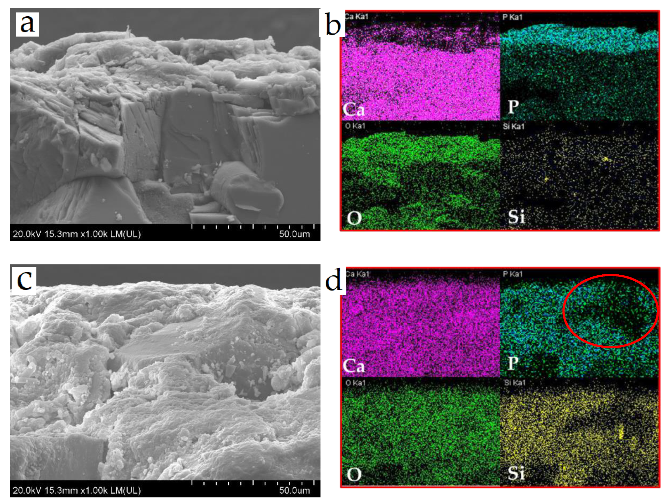Crystals 13 00642 g003 Crystals 13 00642 g003