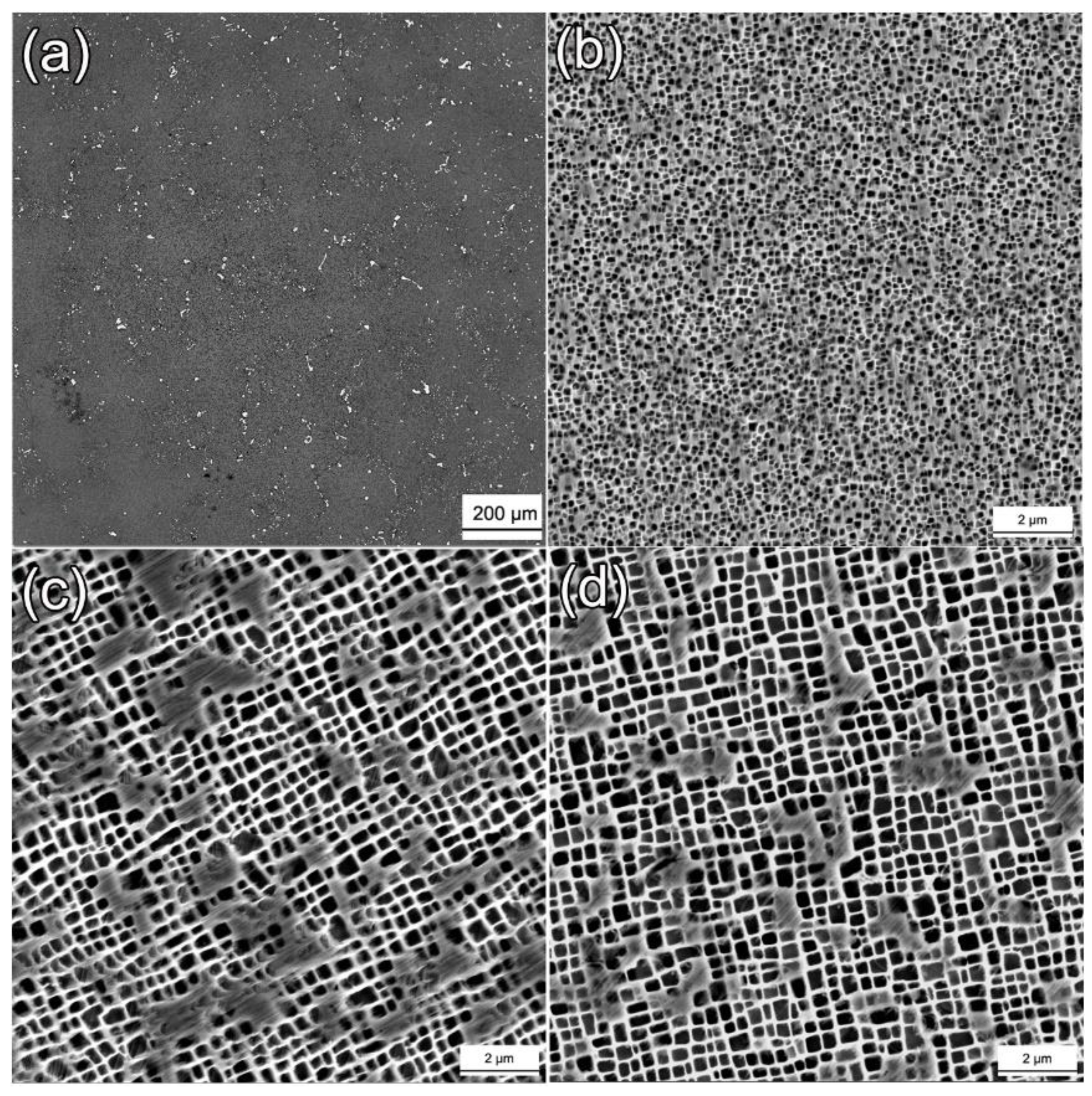 Crystals 13 00669 g004 Crystals 13 00669 g004
