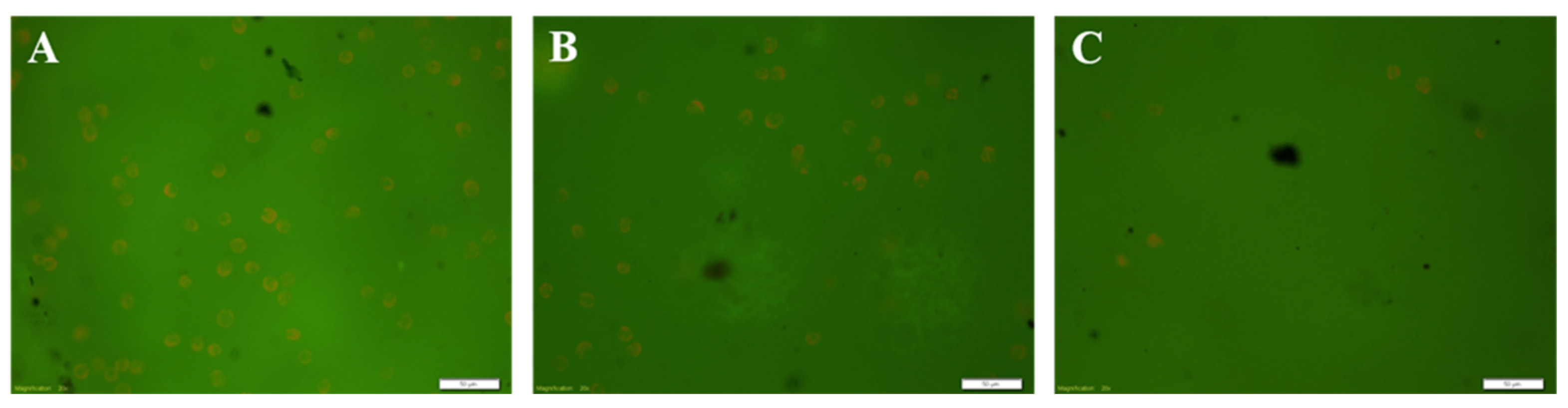 Crystals 13 00798 g003