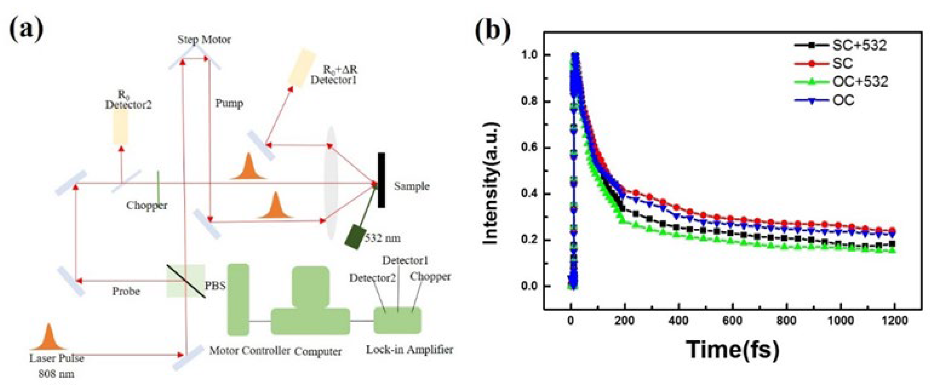 Crystals 13 00834 g004