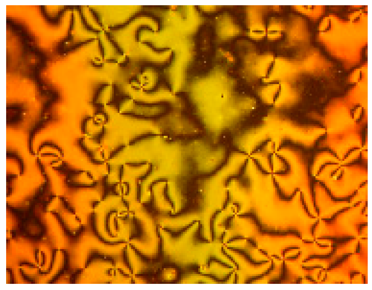 Crystals 13 00835 g004