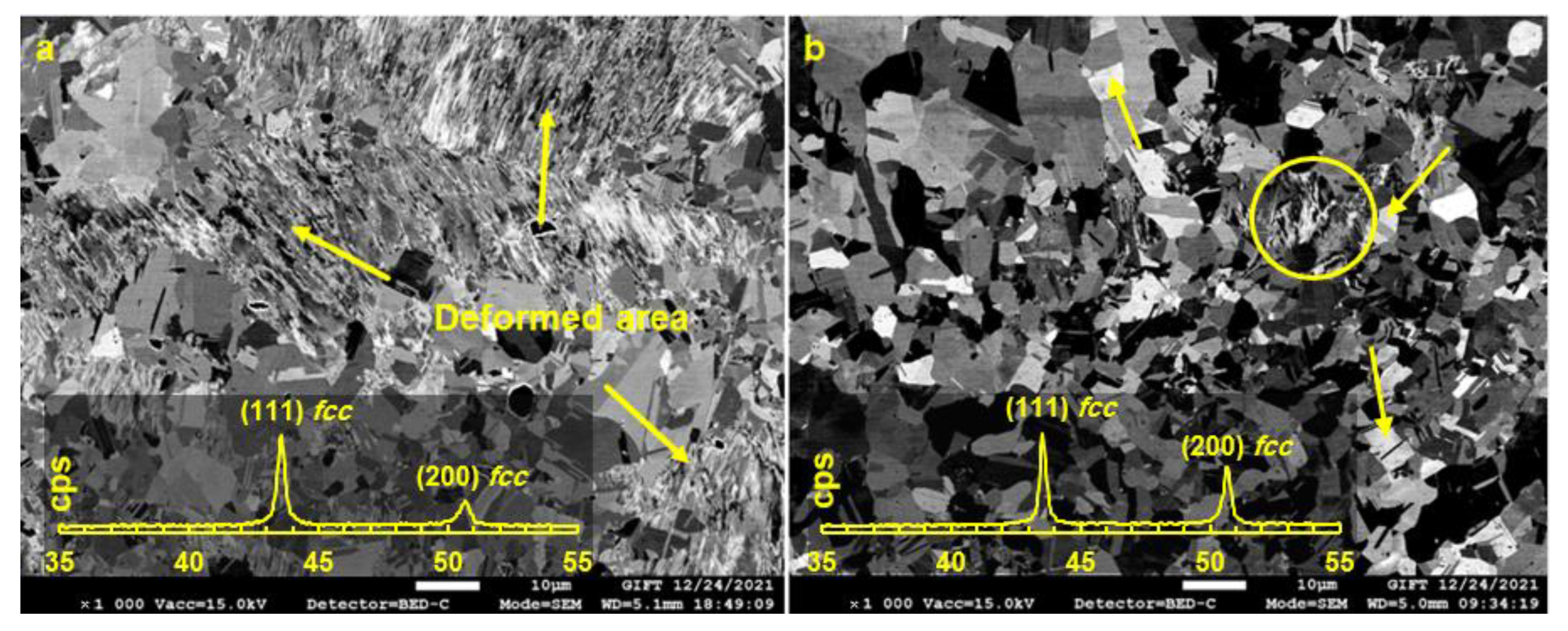 Crystals 13 00844 g001