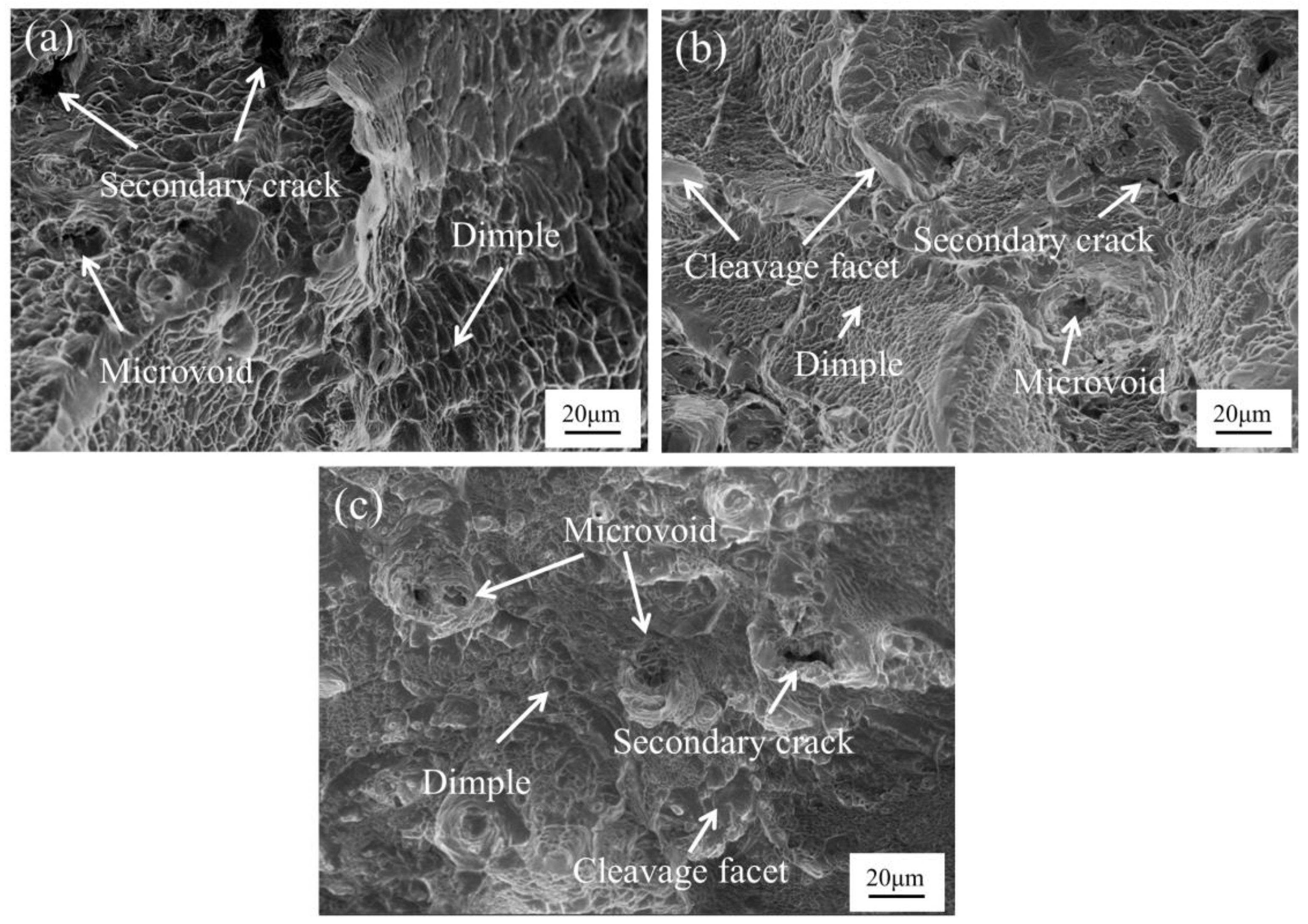 Crystals 13 00964 g010