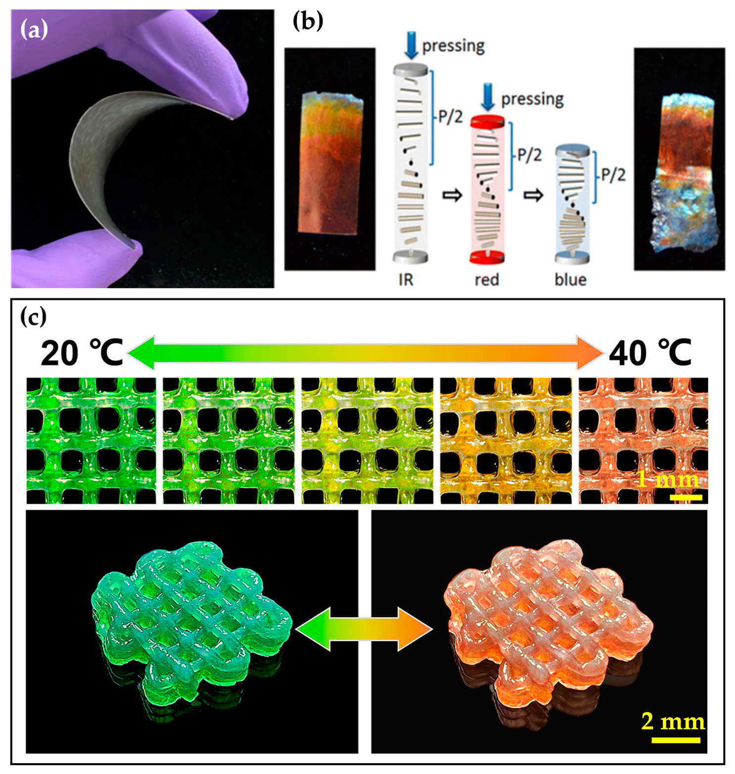 Crystals 13 01010 g007