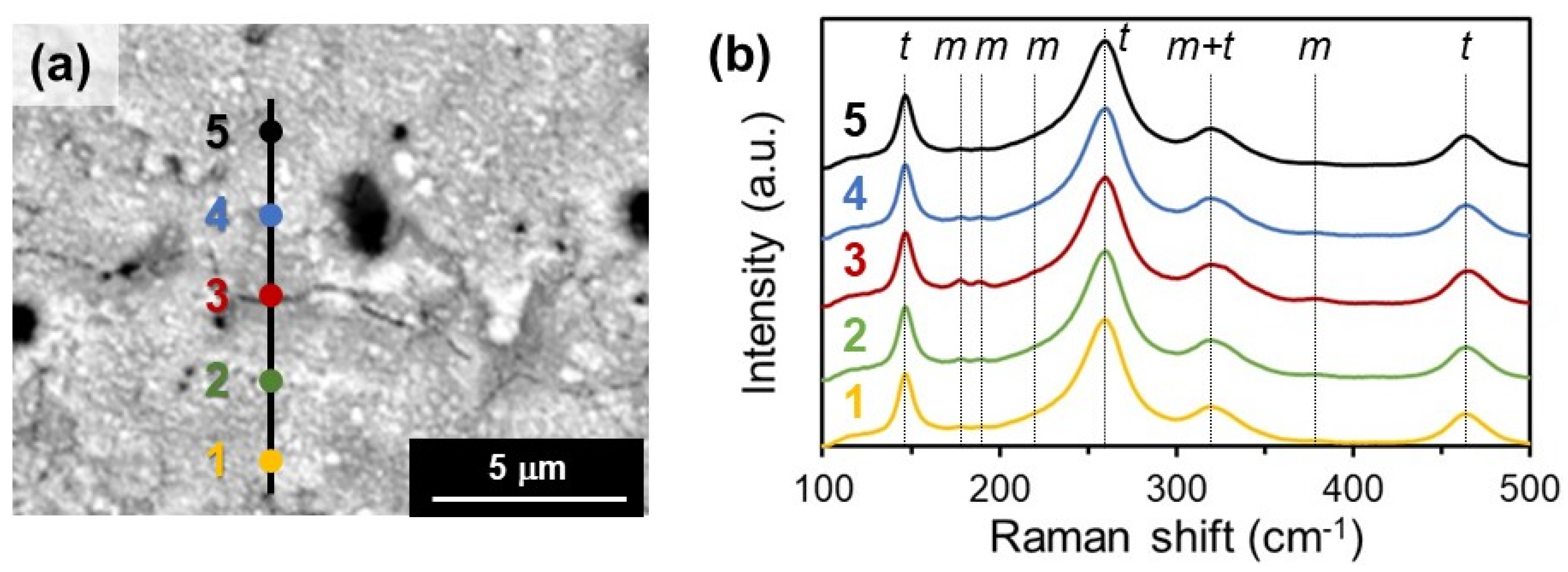 Crystals 13 01016 g009