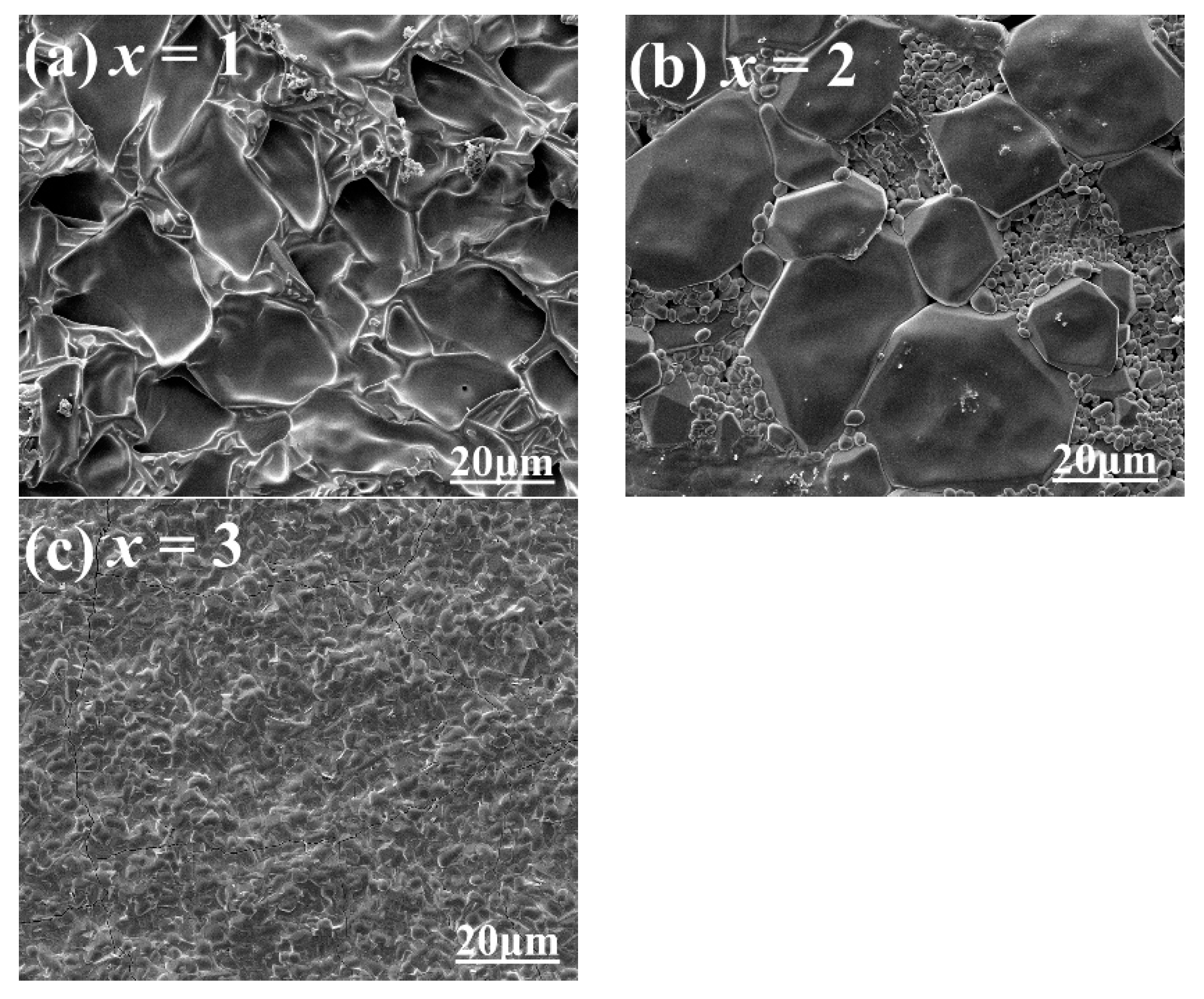 Crystals | Free Full-Text | Effects of LiF-Addition on Sintering 