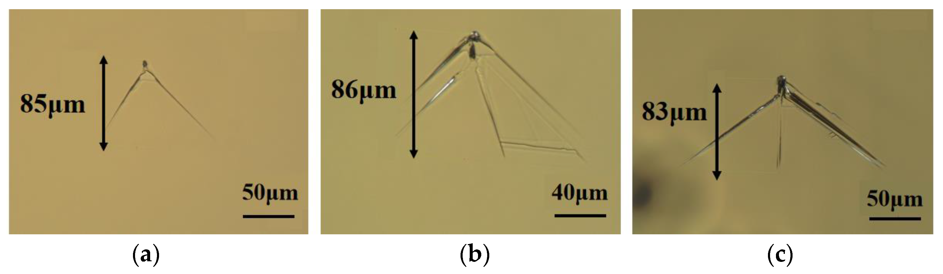 Crystals 13 01056 g001