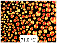 Crystals 13 01064 i034