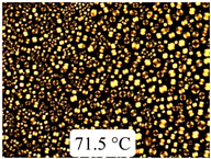 Crystals 13 01064 i042