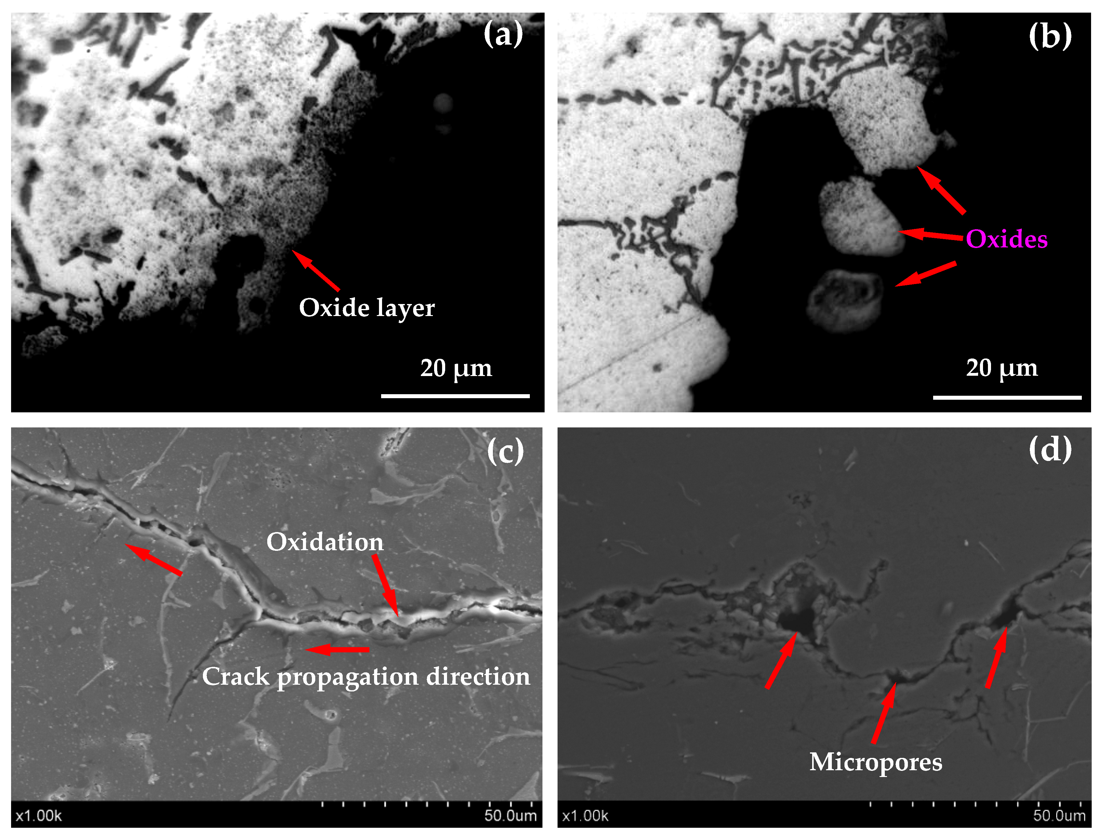 Crystals 13 01068 g009