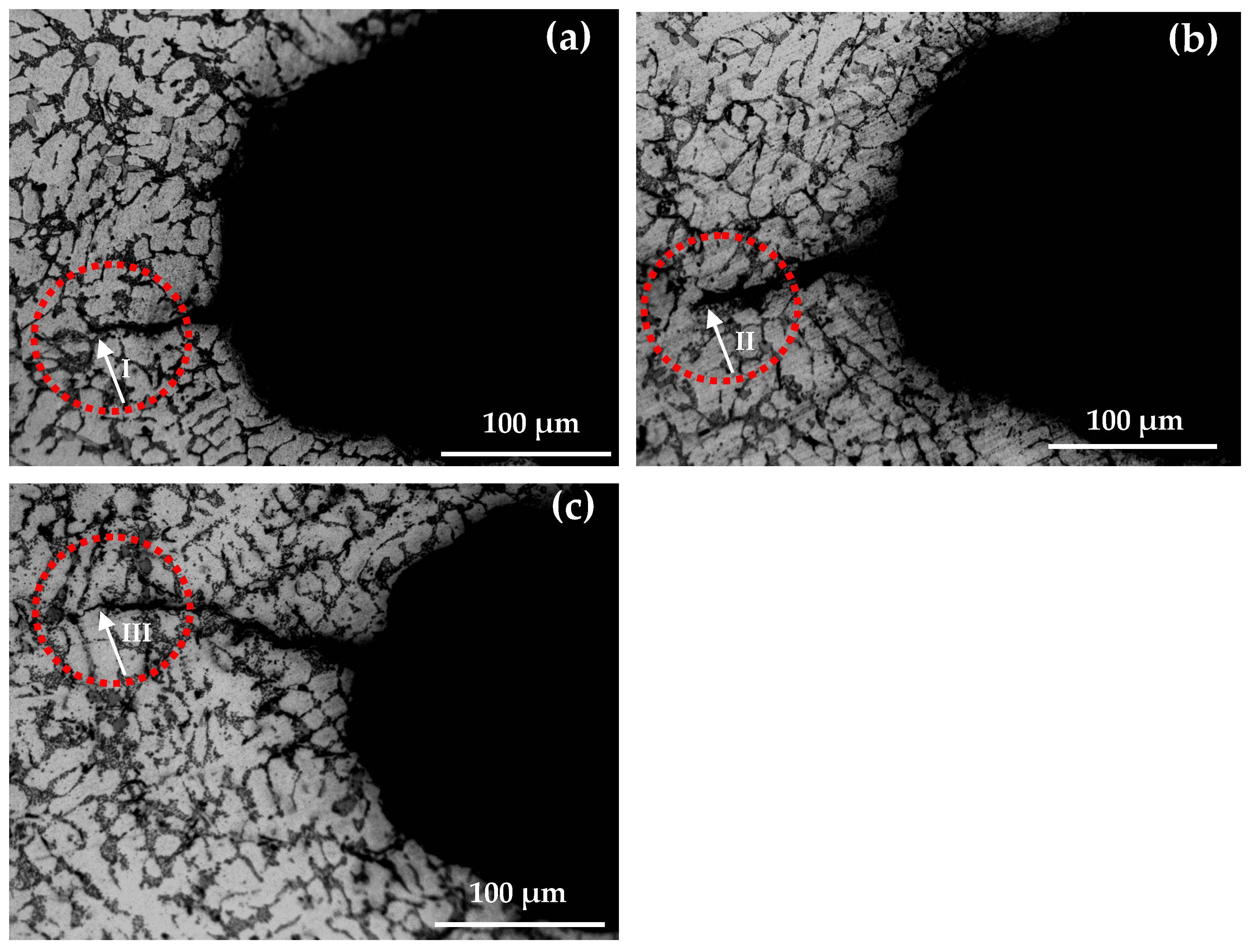 Crystals 13 01068 g013