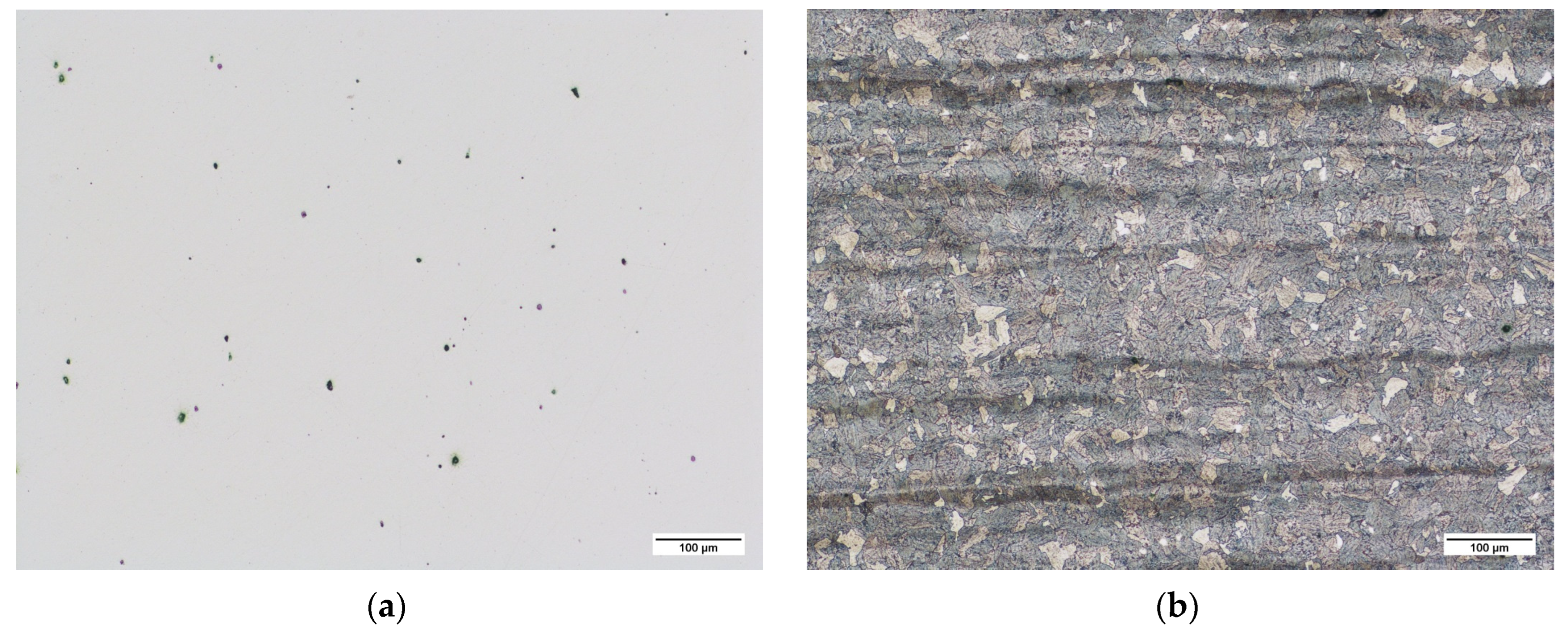 Crystals 13 01091 g004