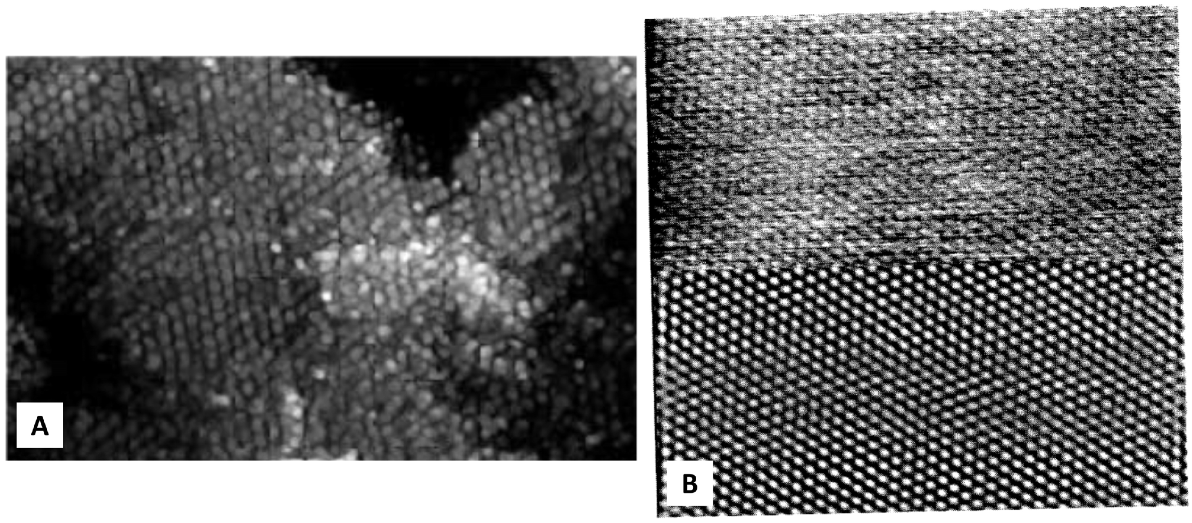 Crystals 13 01149 g002