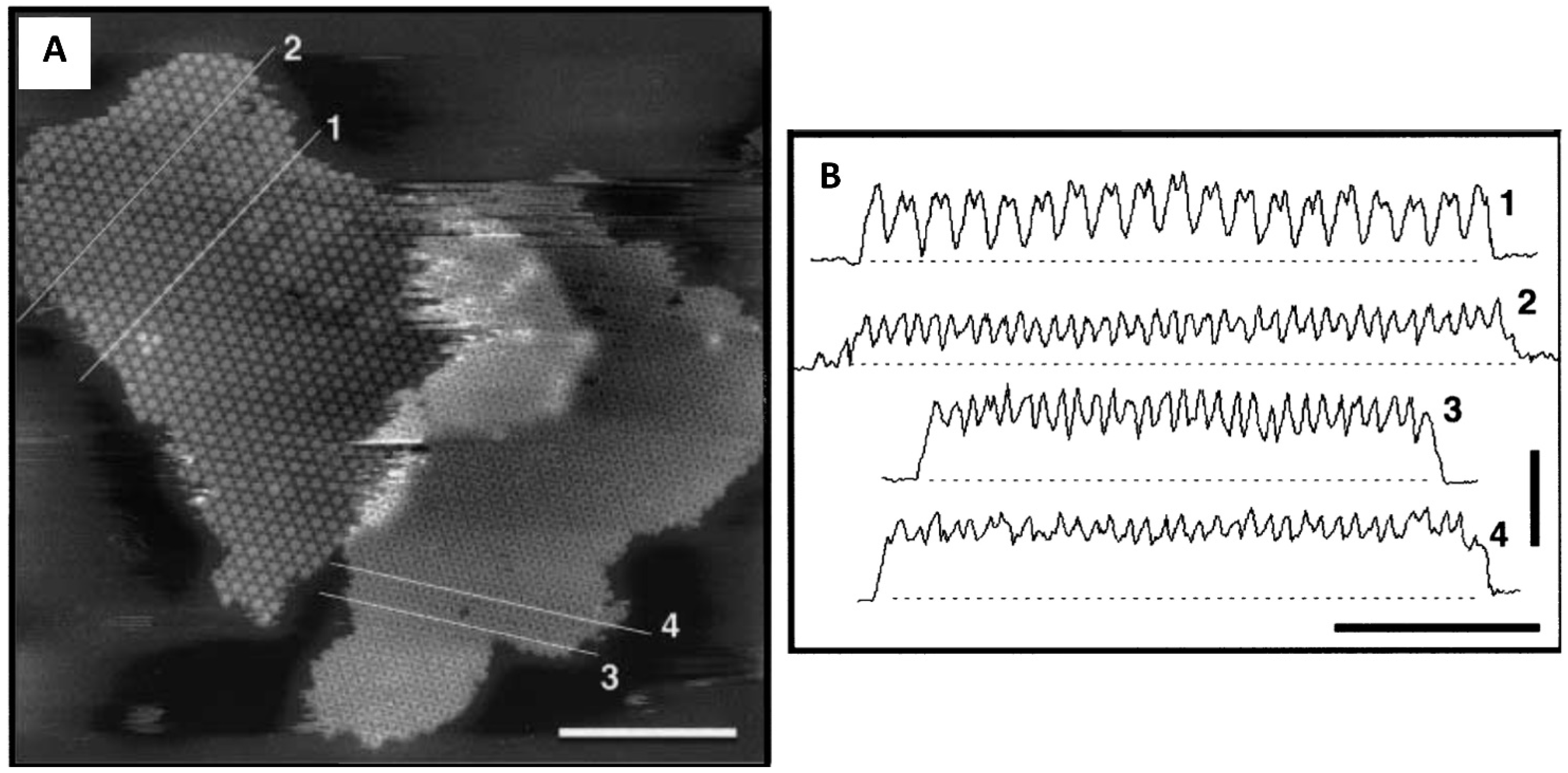 Crystals 13 01149 g004
