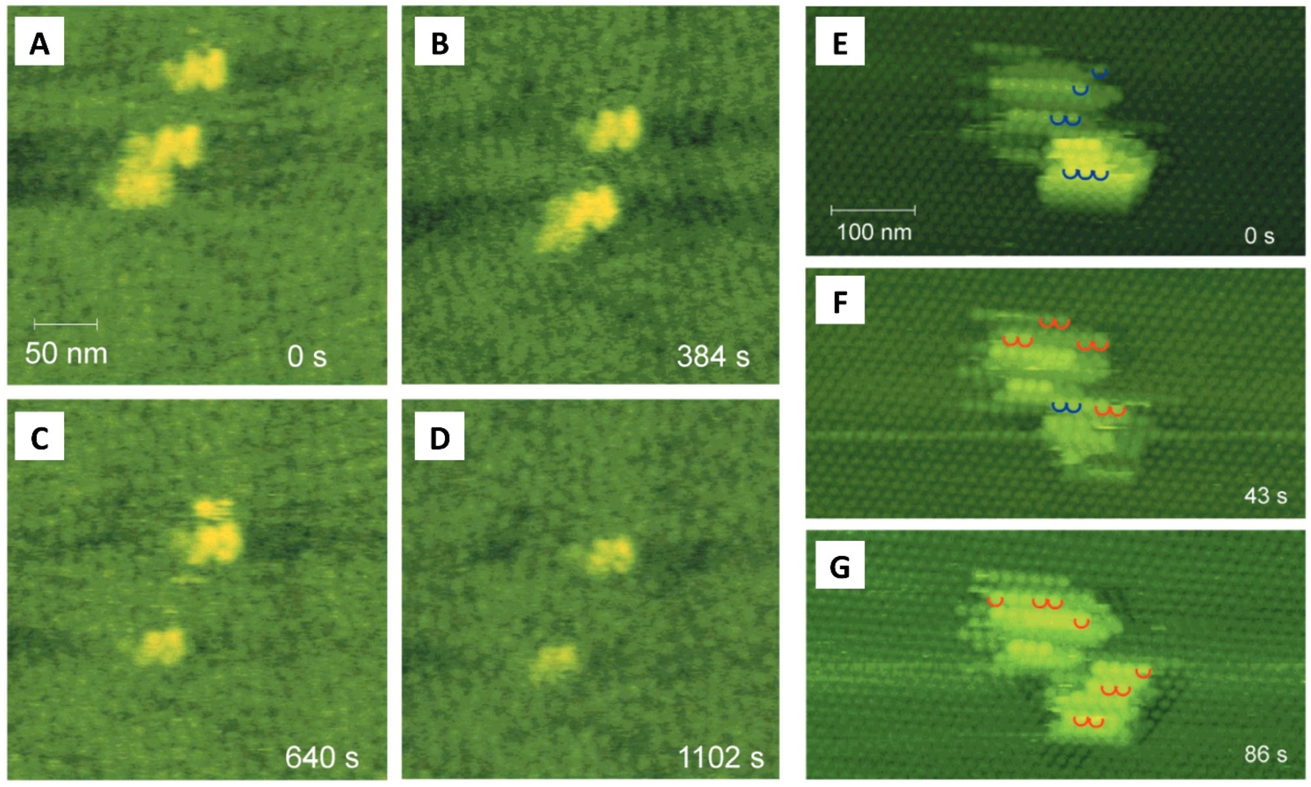 Crystals 13 01149 g006