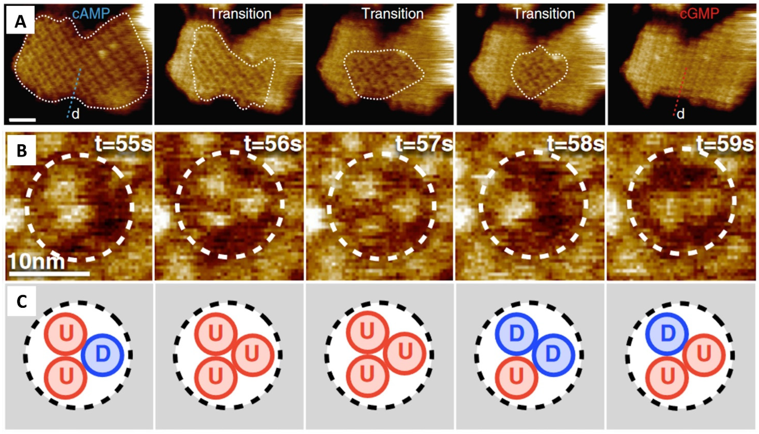 Crystals 13 01149 g007