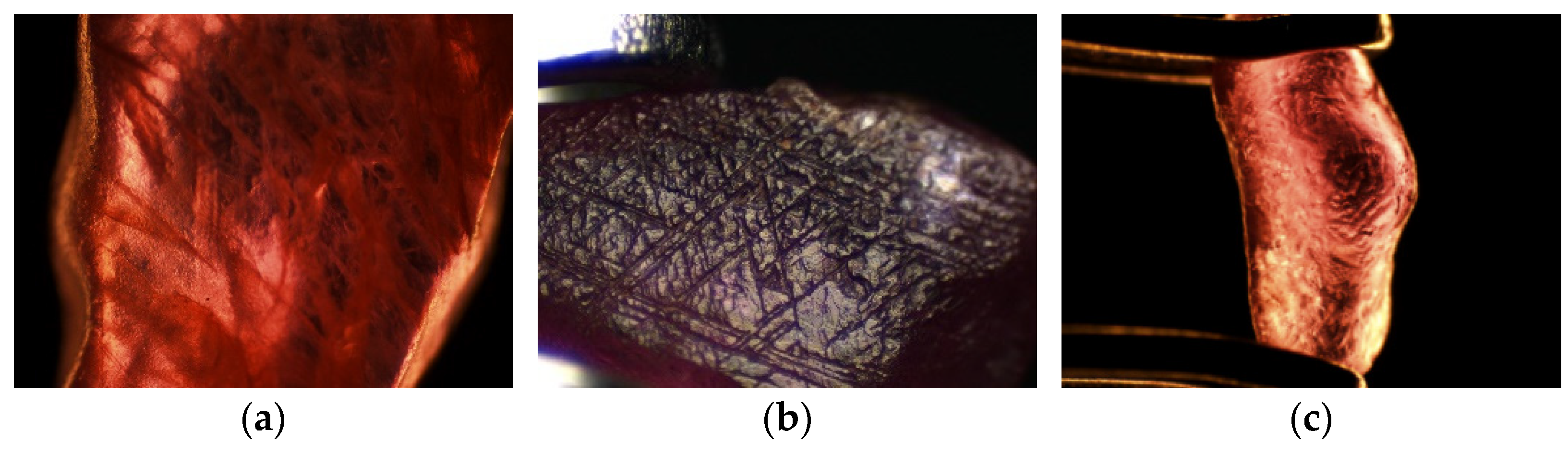 Crystals 13 01179 g003 Crystals 13 01179 g003