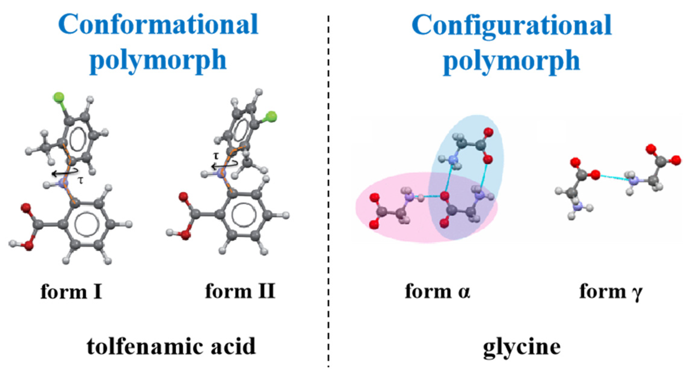 What are Polymorphs?