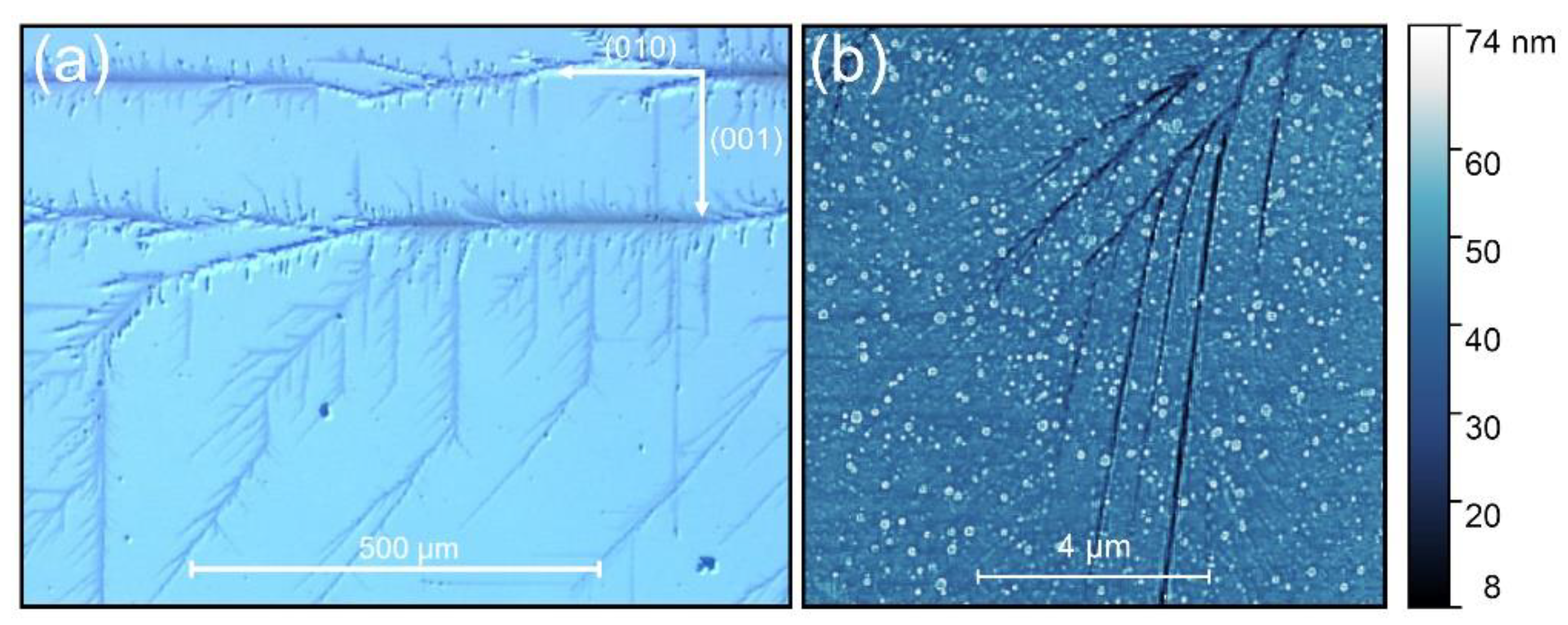 Crystals 13 01259 g004