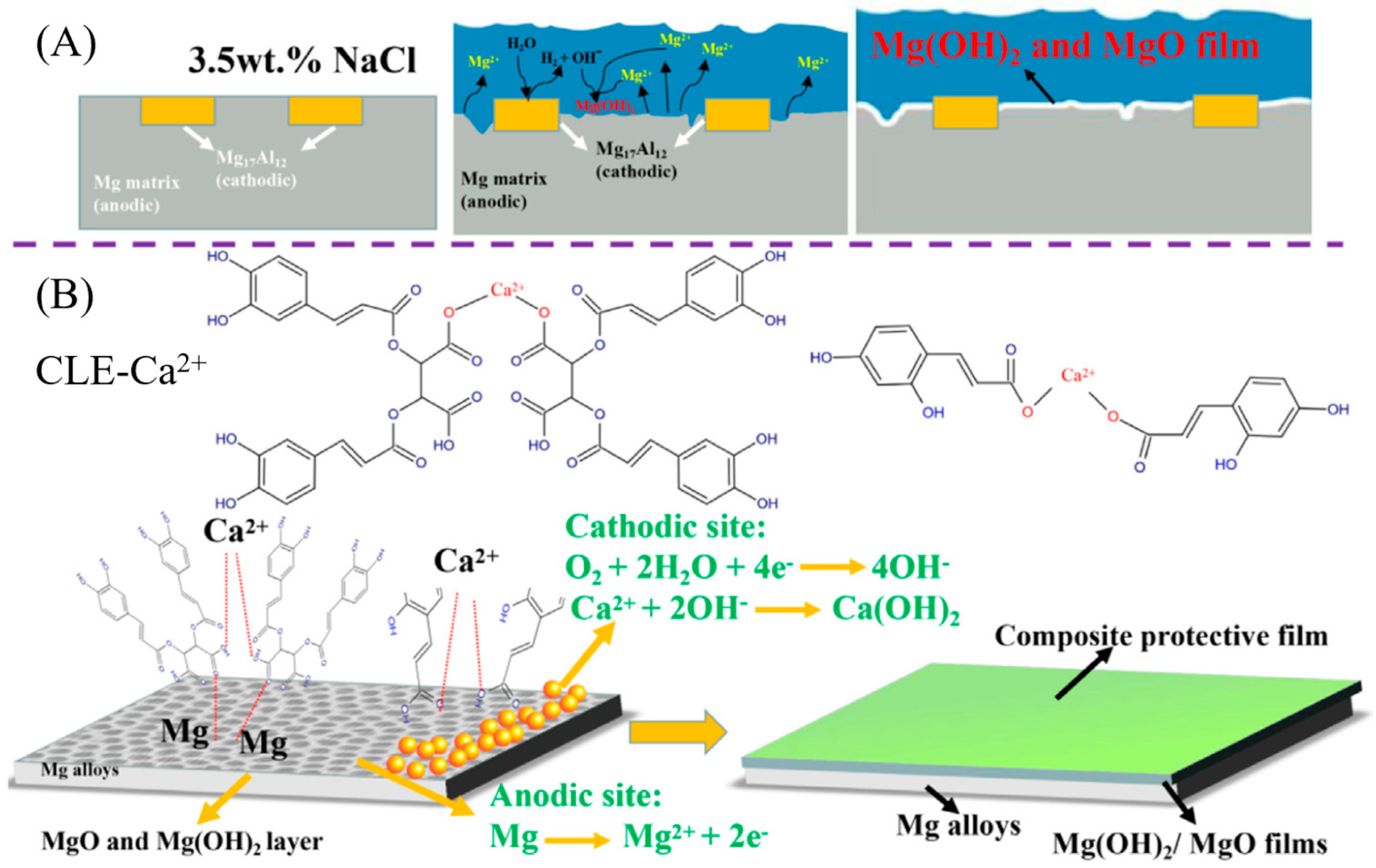 Crystals 13 01329 g008