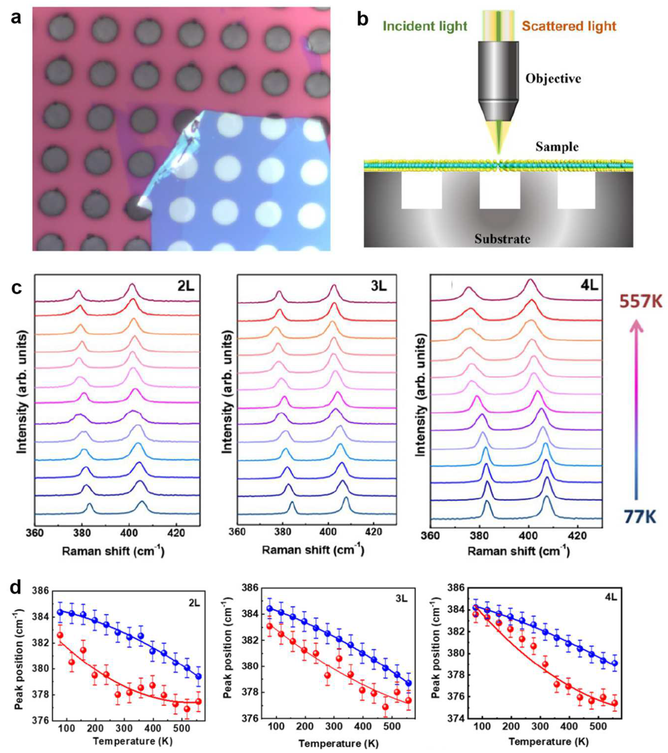 Crystals 13 01337 g005 Crystals 13 01337 g005