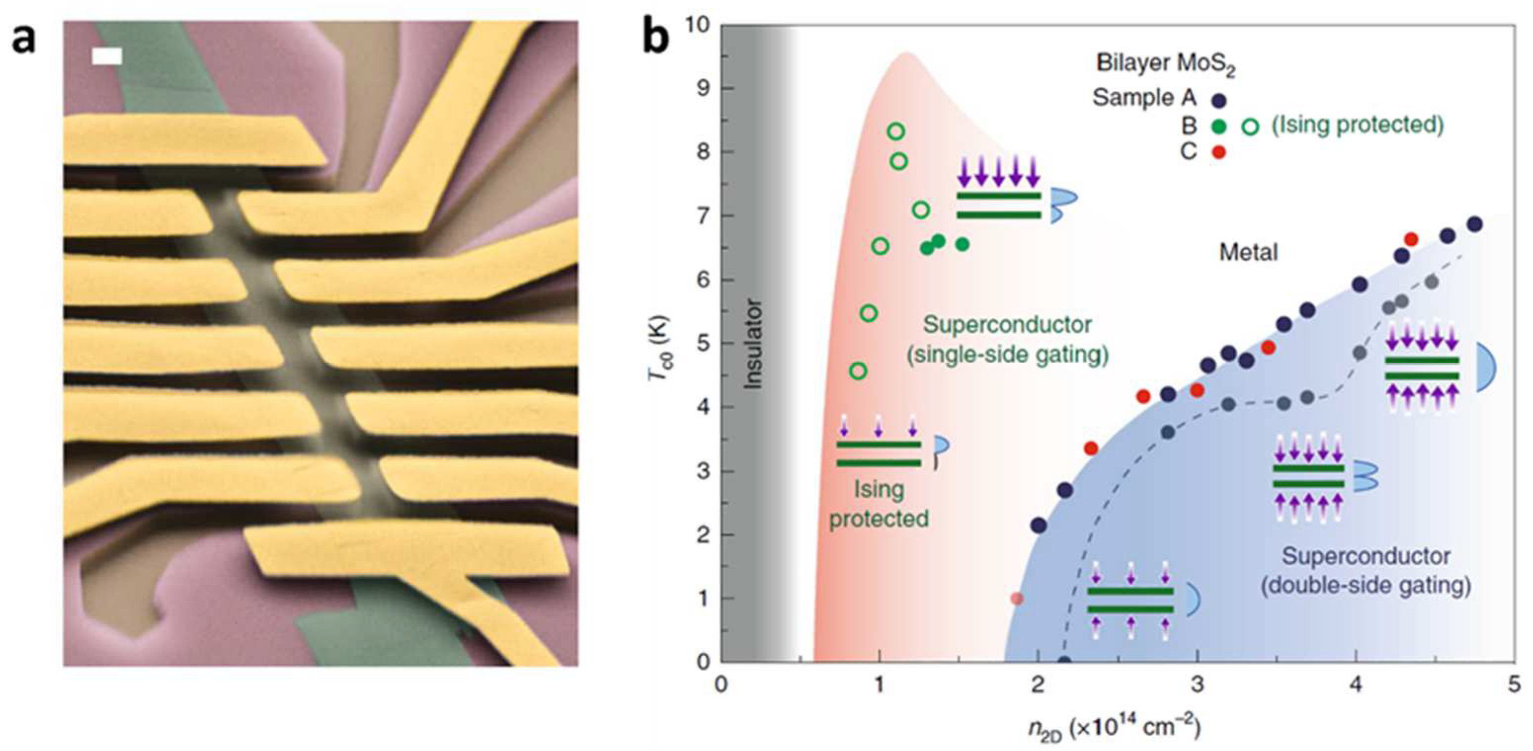 Crystals 13 01337 g006 Crystals 13 01337 g006
