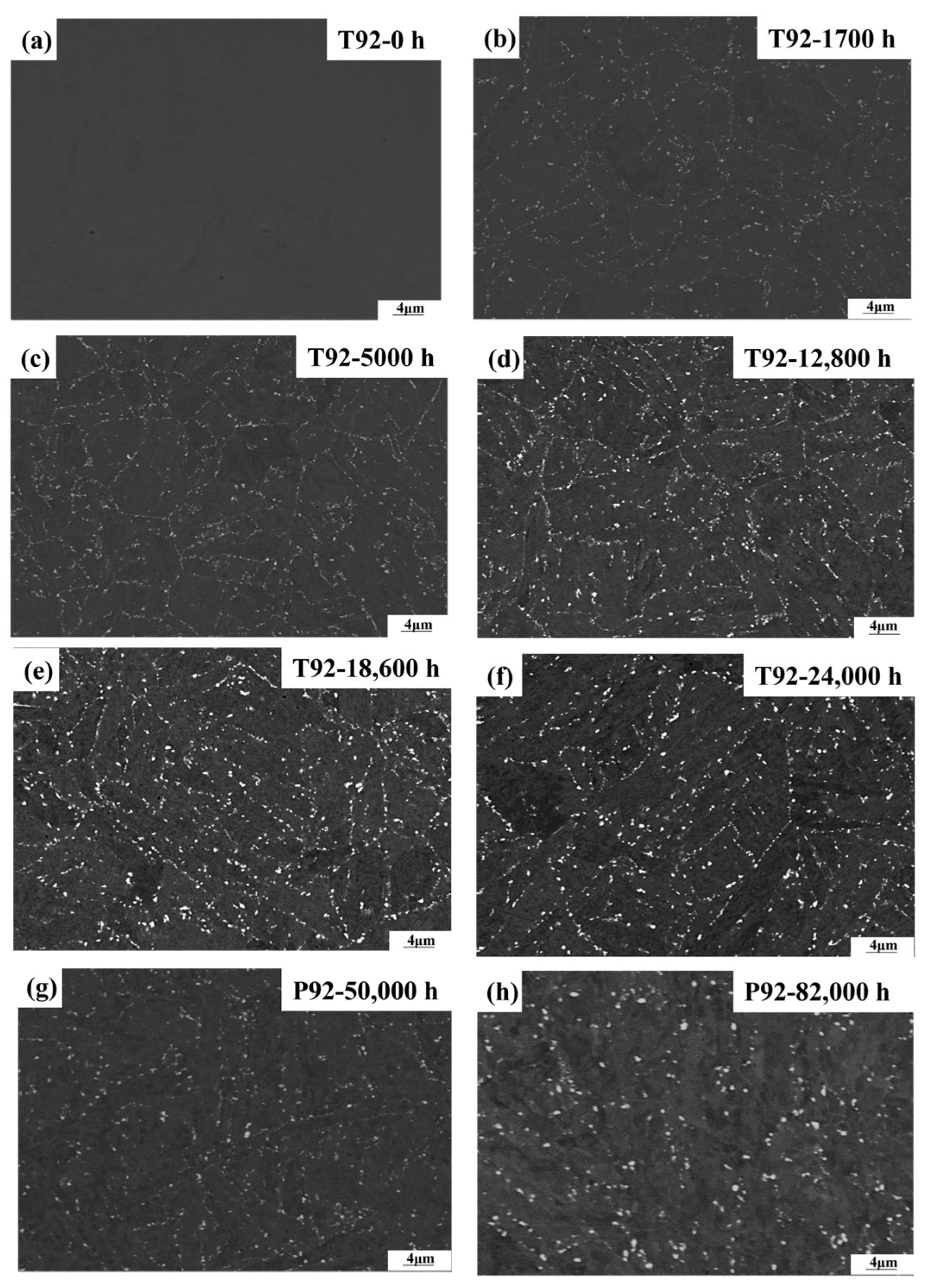 Crystals 13 01600 g001
