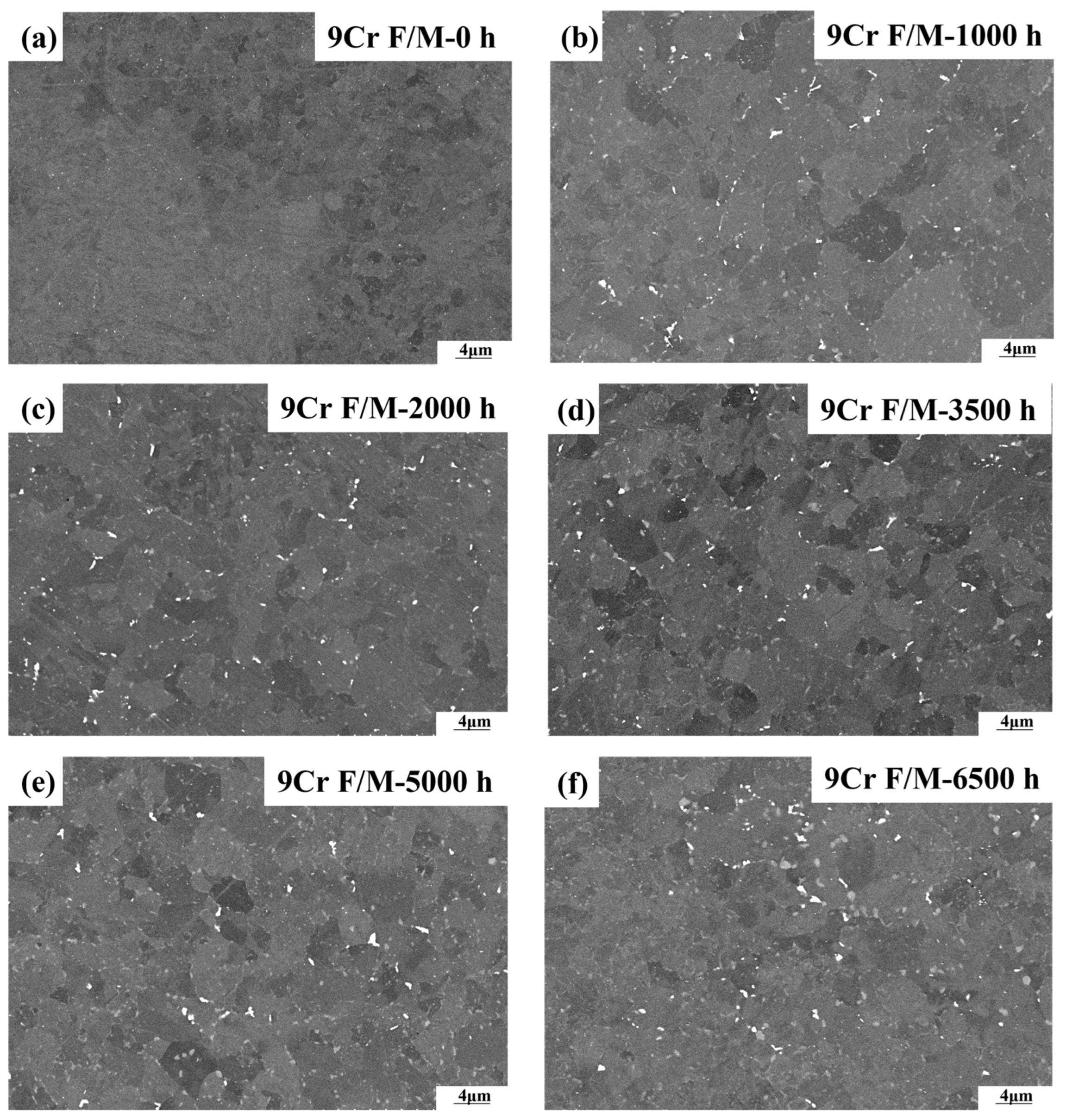 Crystals 13 01600 g005