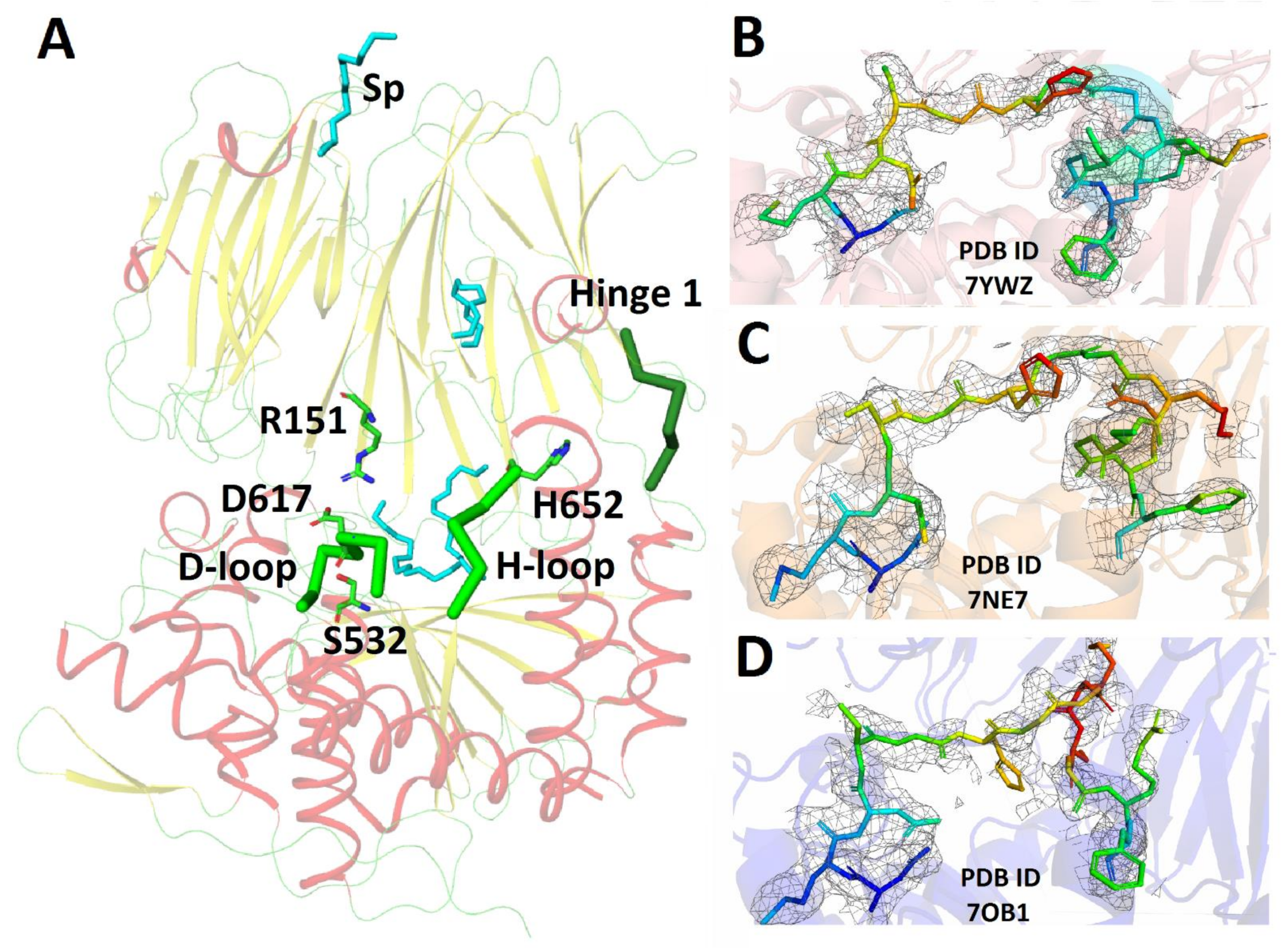 Crystals 13 01642 g002