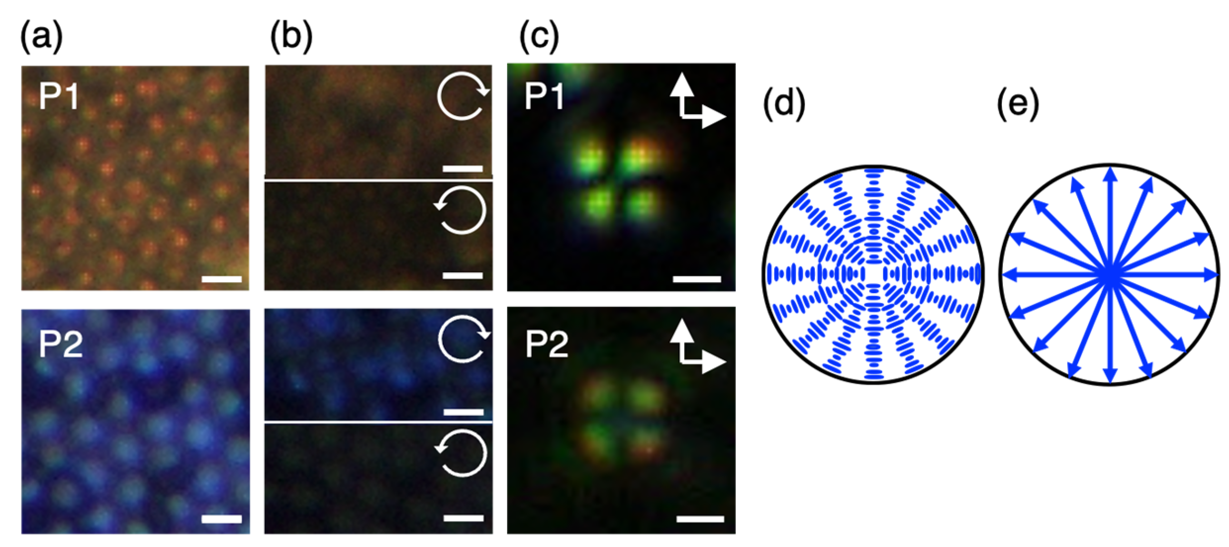 Crystals 13 01660 g003