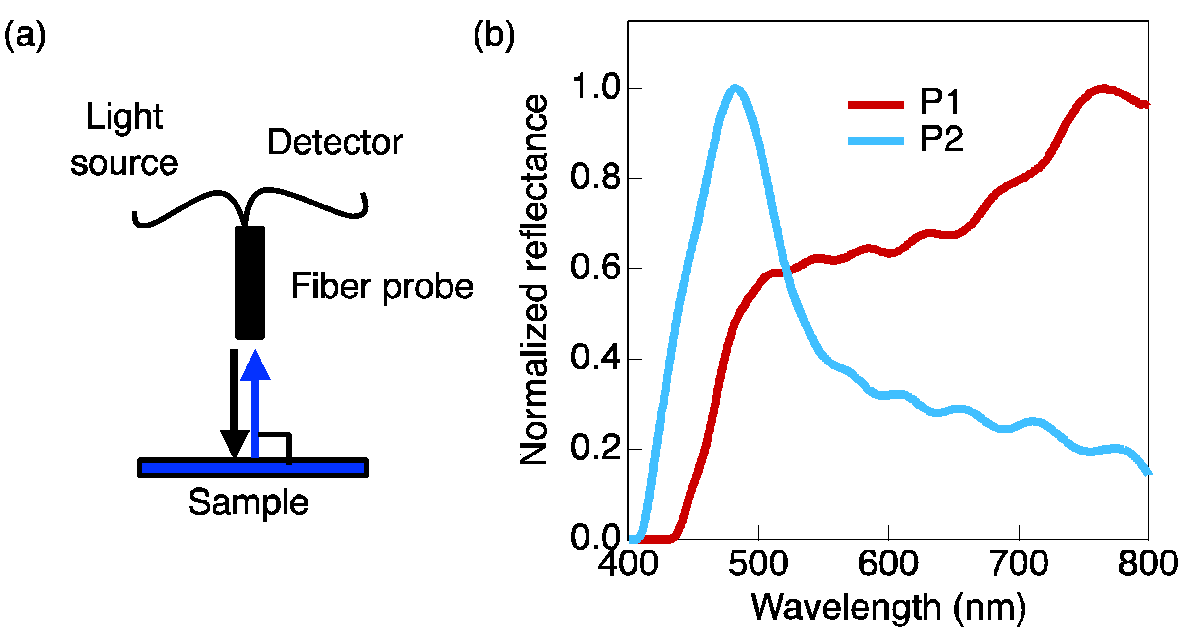 Crystals 13 01660 g004