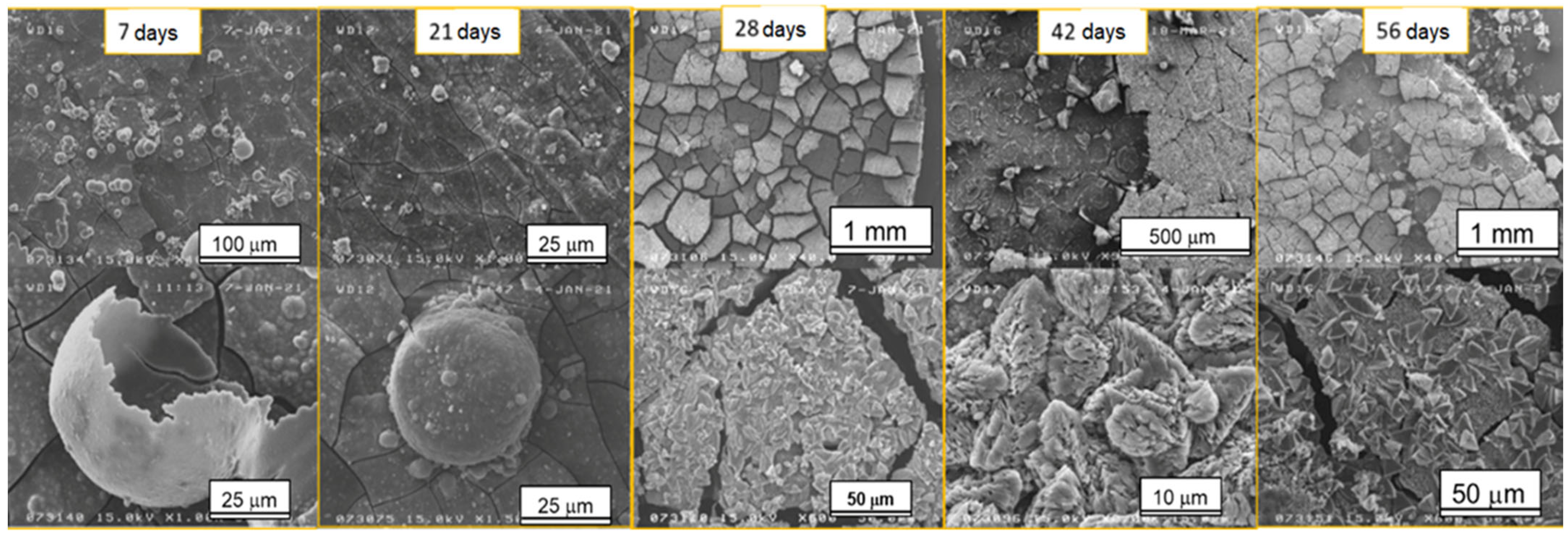 Crystals 13 01692 g002