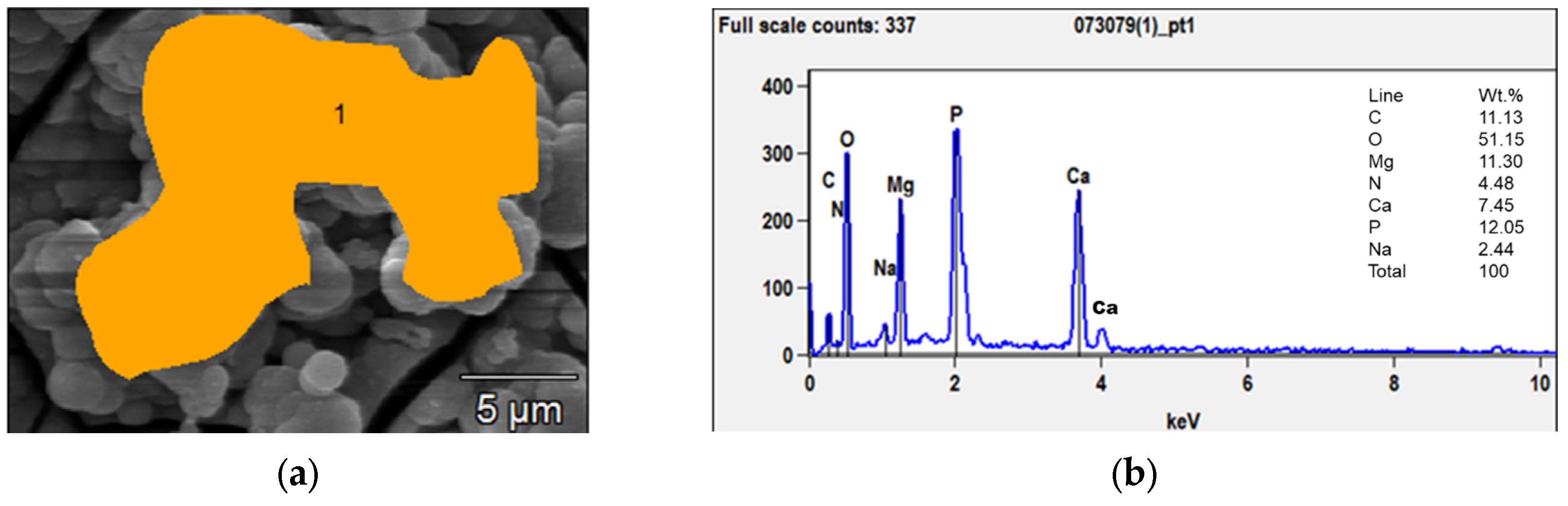 Crystals 13 01692 g003