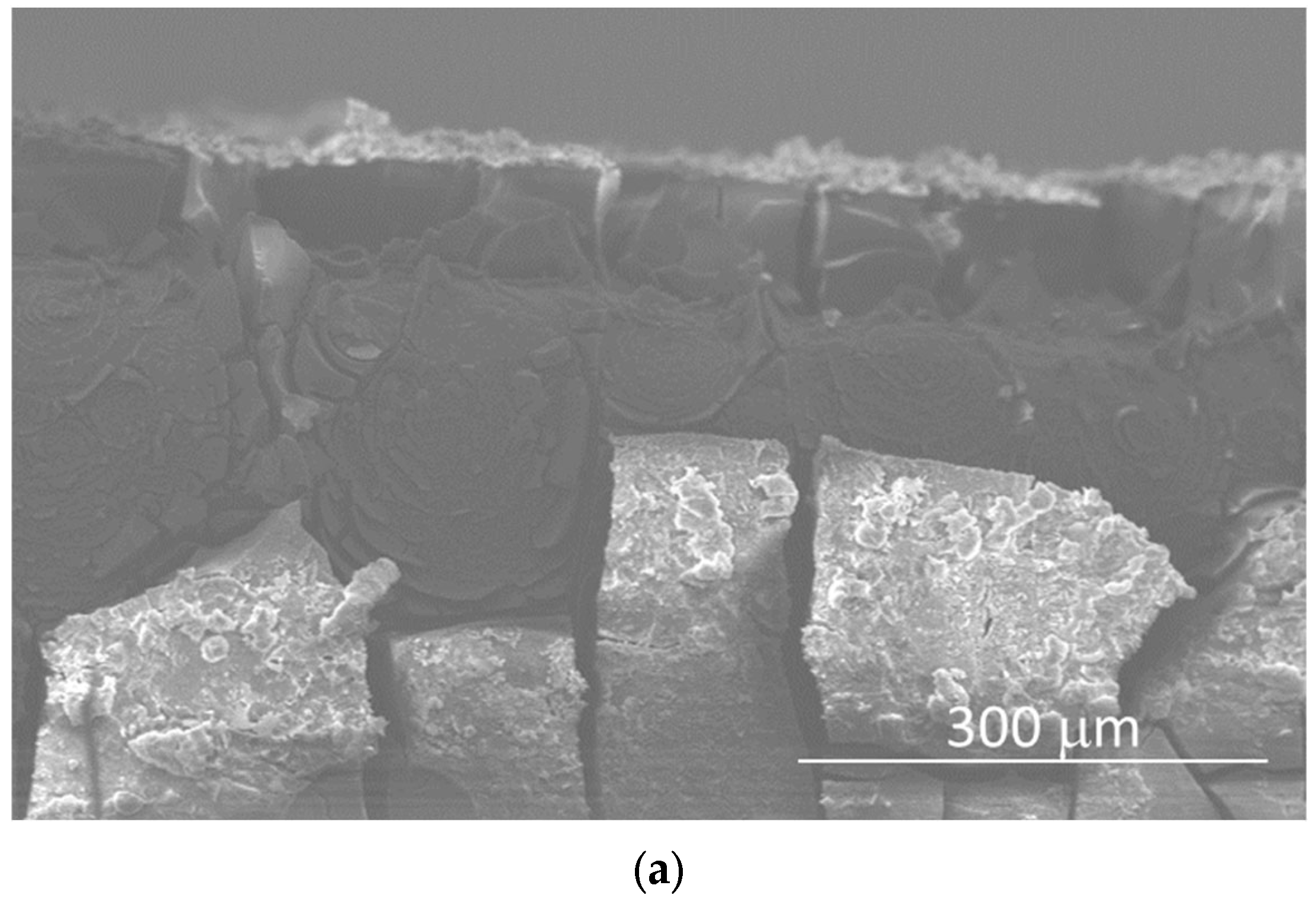 Crystals 13 01692 g007a