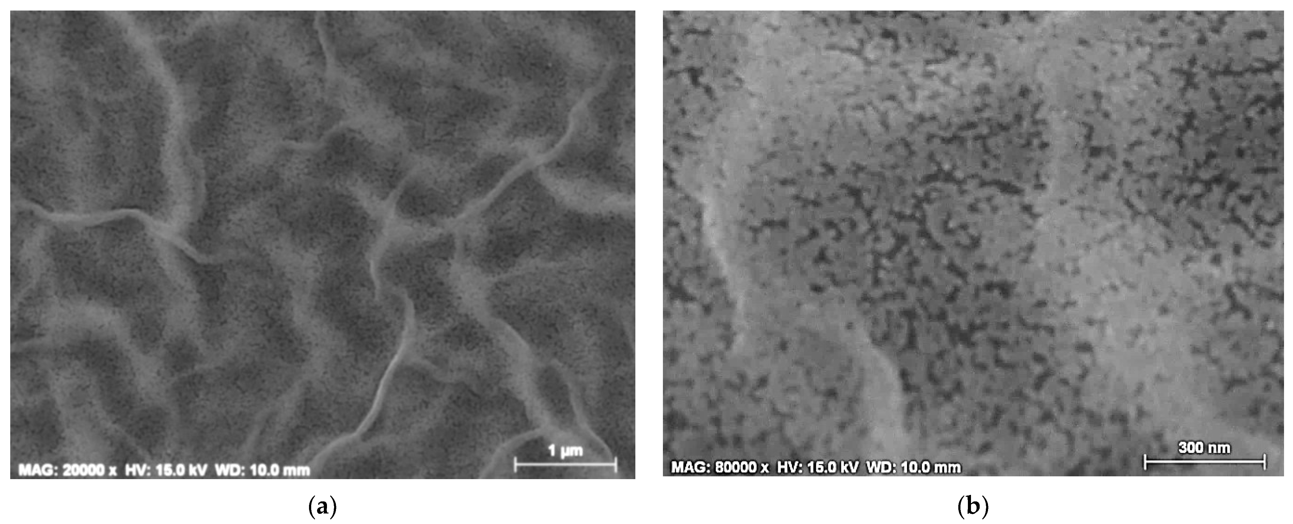 Crystals 14 00006 g005