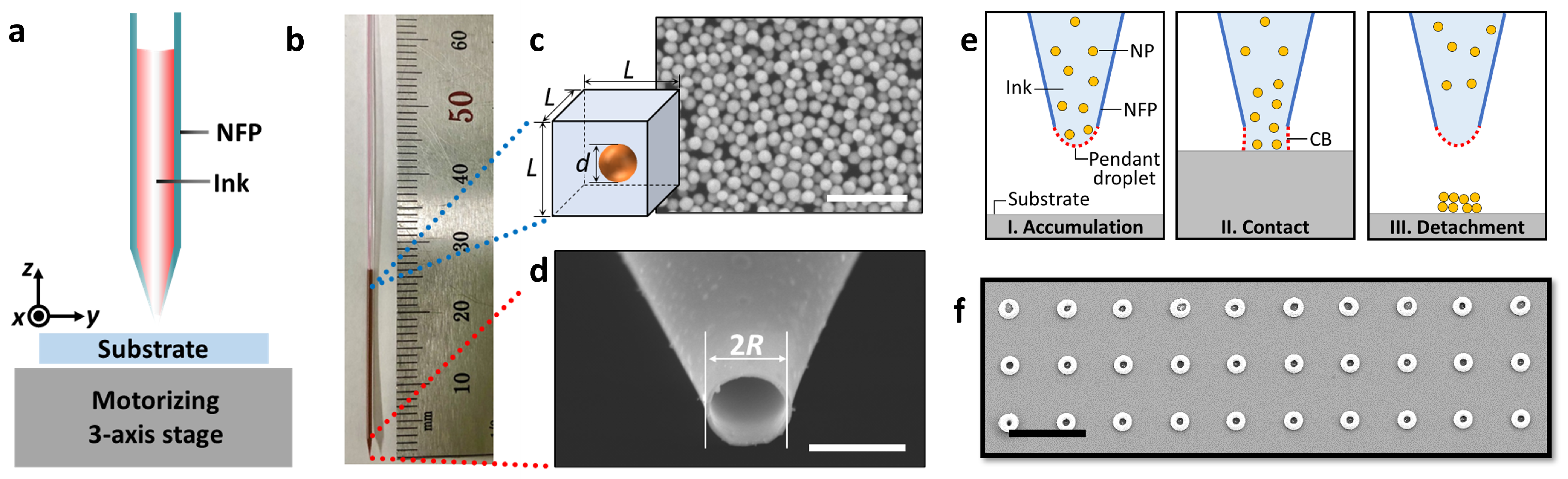 Crystals 14 00009 g001
