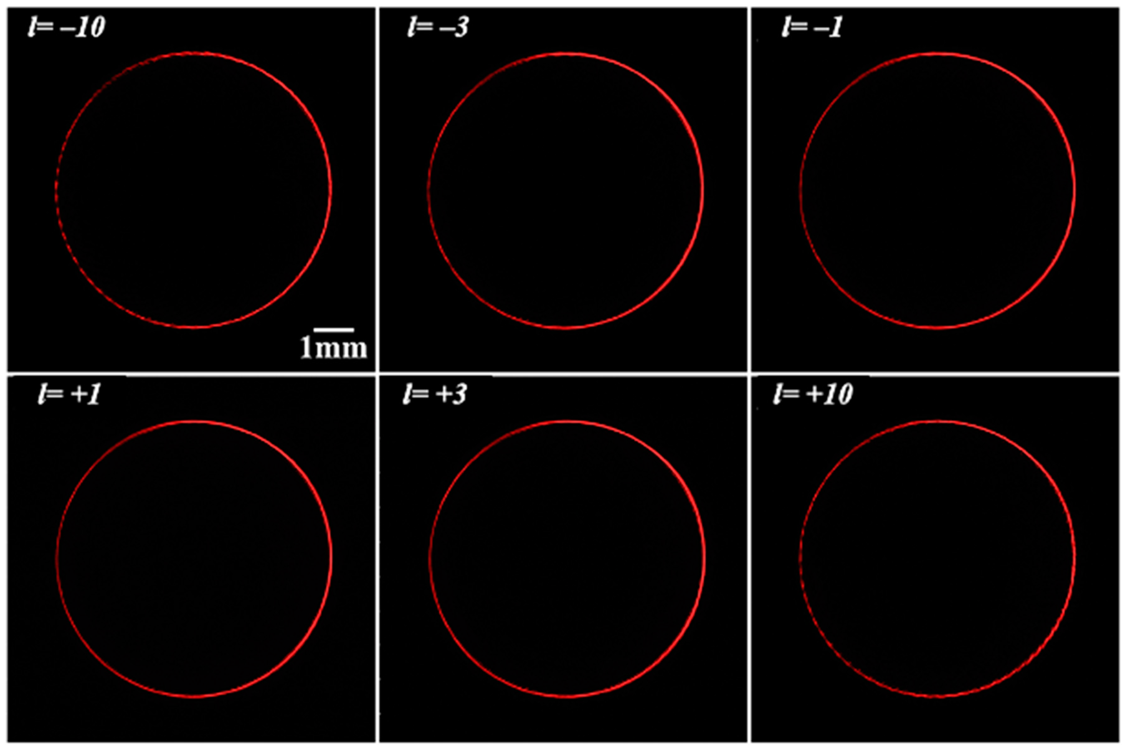 Crystals 14 00016 g010